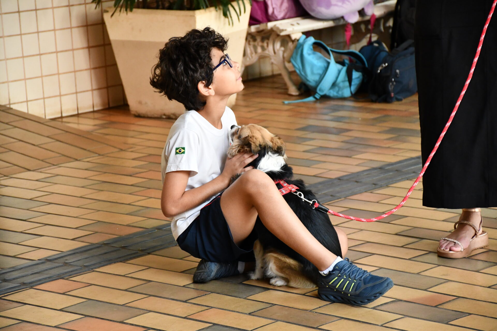 benção-animais-sao-francisco-de-assis (10)