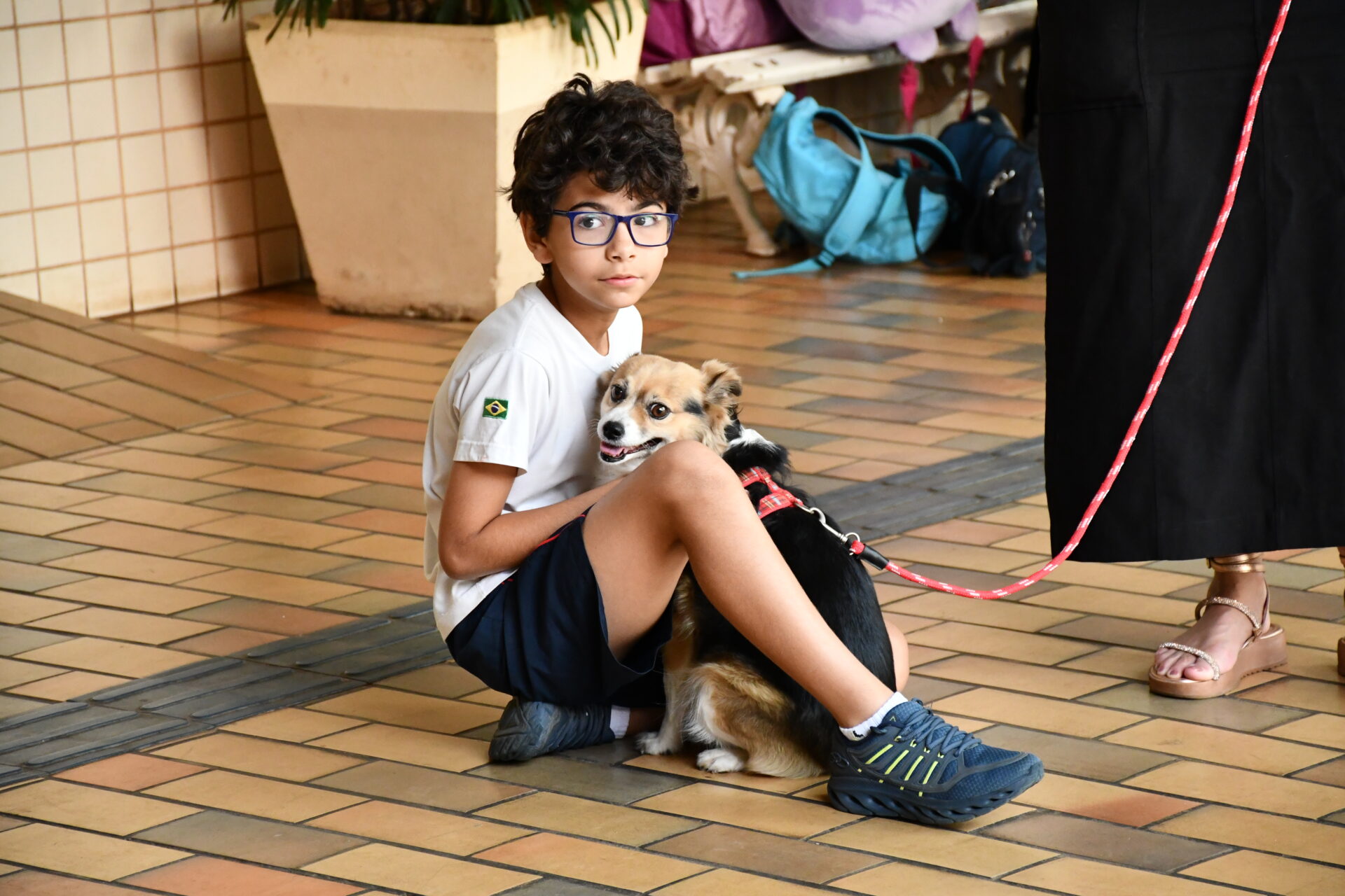 benção-animais-sao-francisco-de-assis (11)