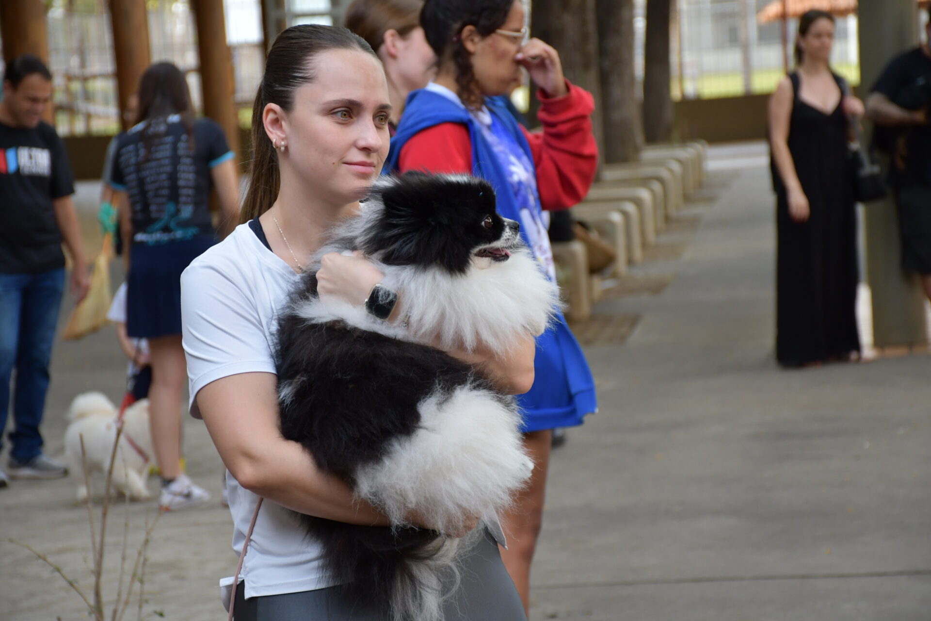benção-animais-sao-francisco-de-assis (12)