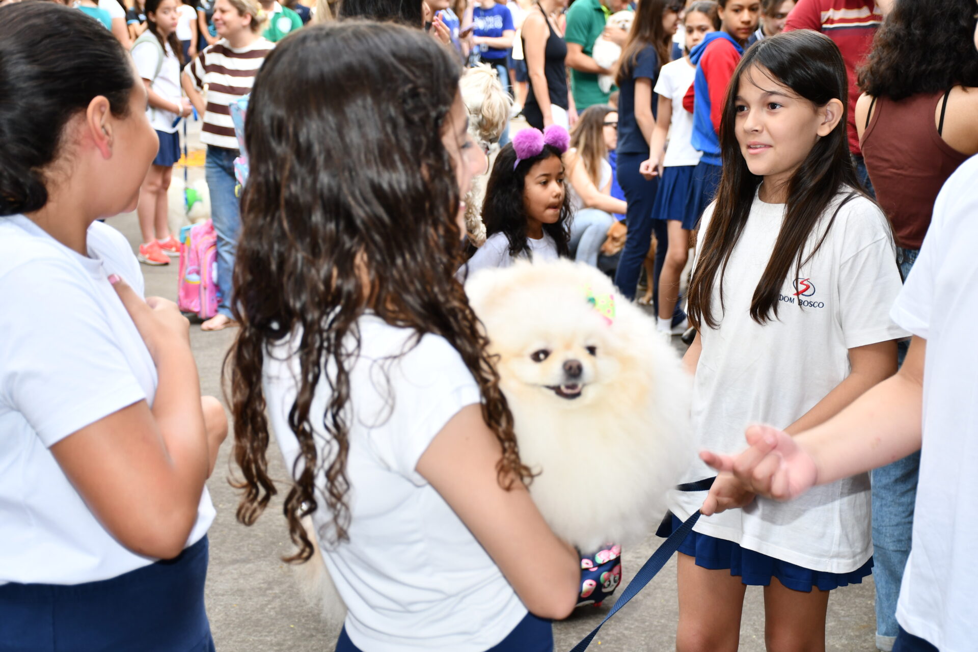 benção-animais-sao-francisco-de-assis (16)