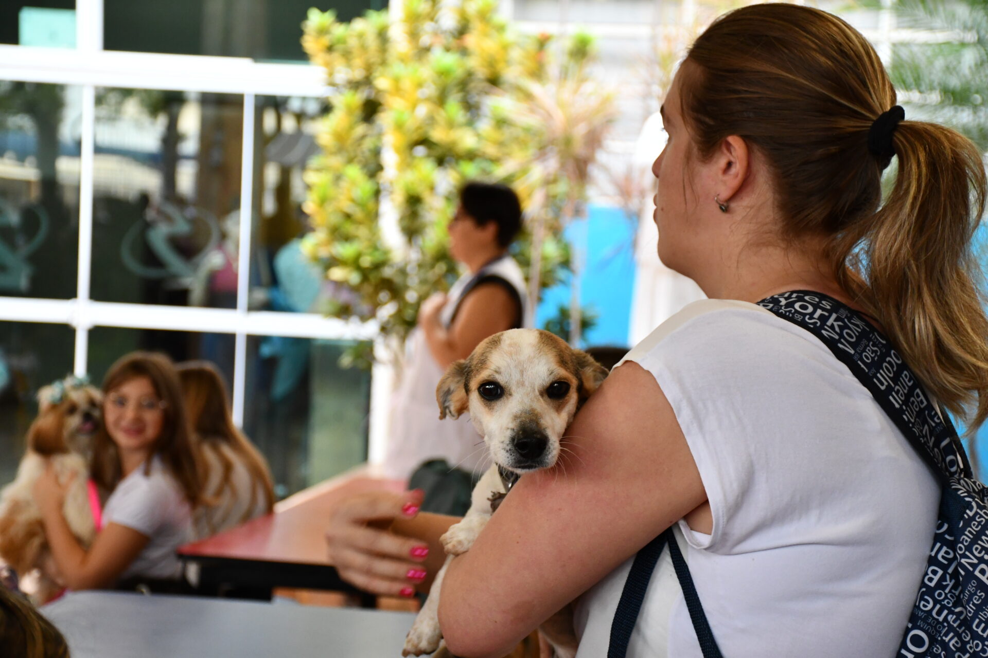 benção-animais-sao-francisco-de-assis (17)