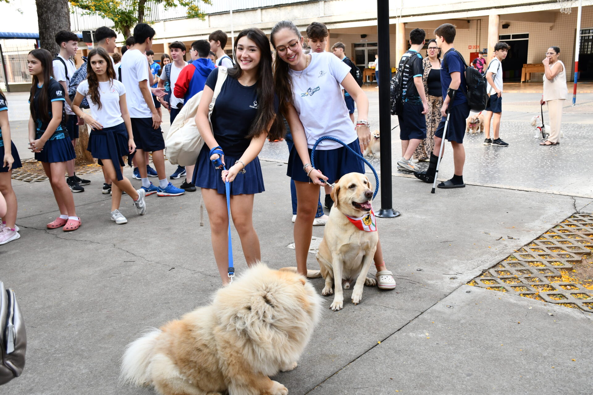 benção-animais-sao-francisco-de-assis (24)
