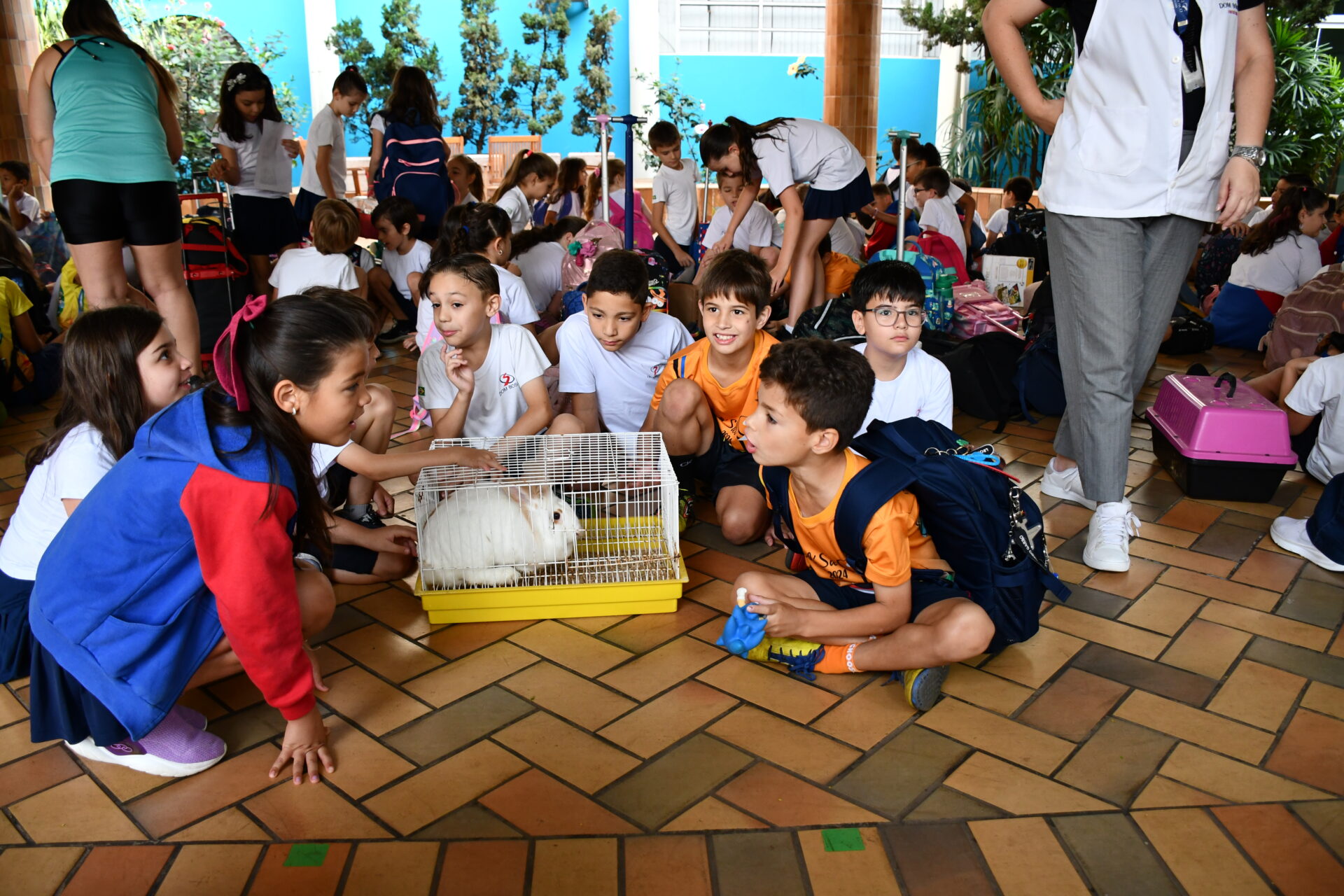 benção-animais-sao-francisco-de-assis (3)