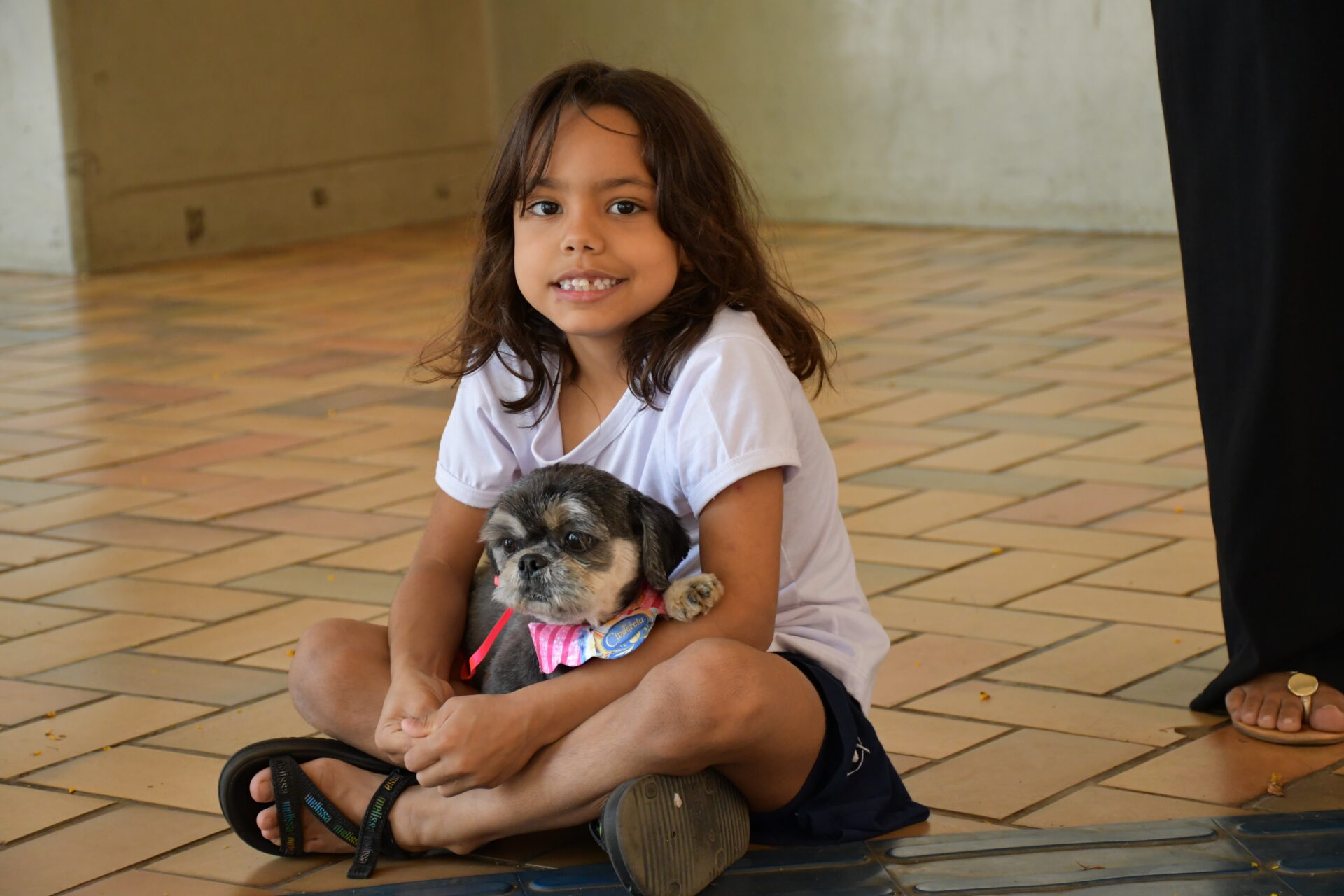 benção-animais-sao-francisco-de-assis (34)