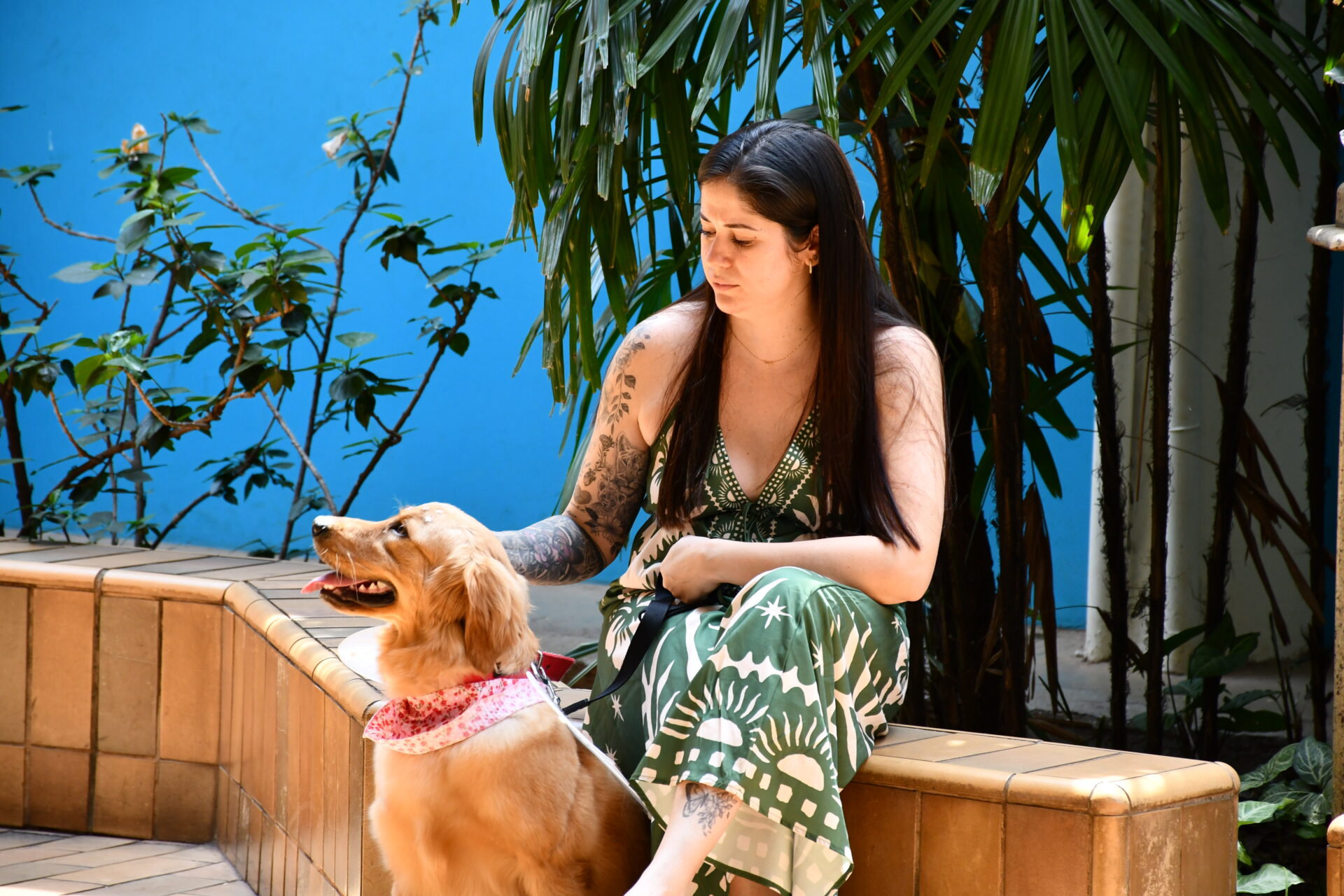 benção-animais-sao-francisco-de-assis (44)