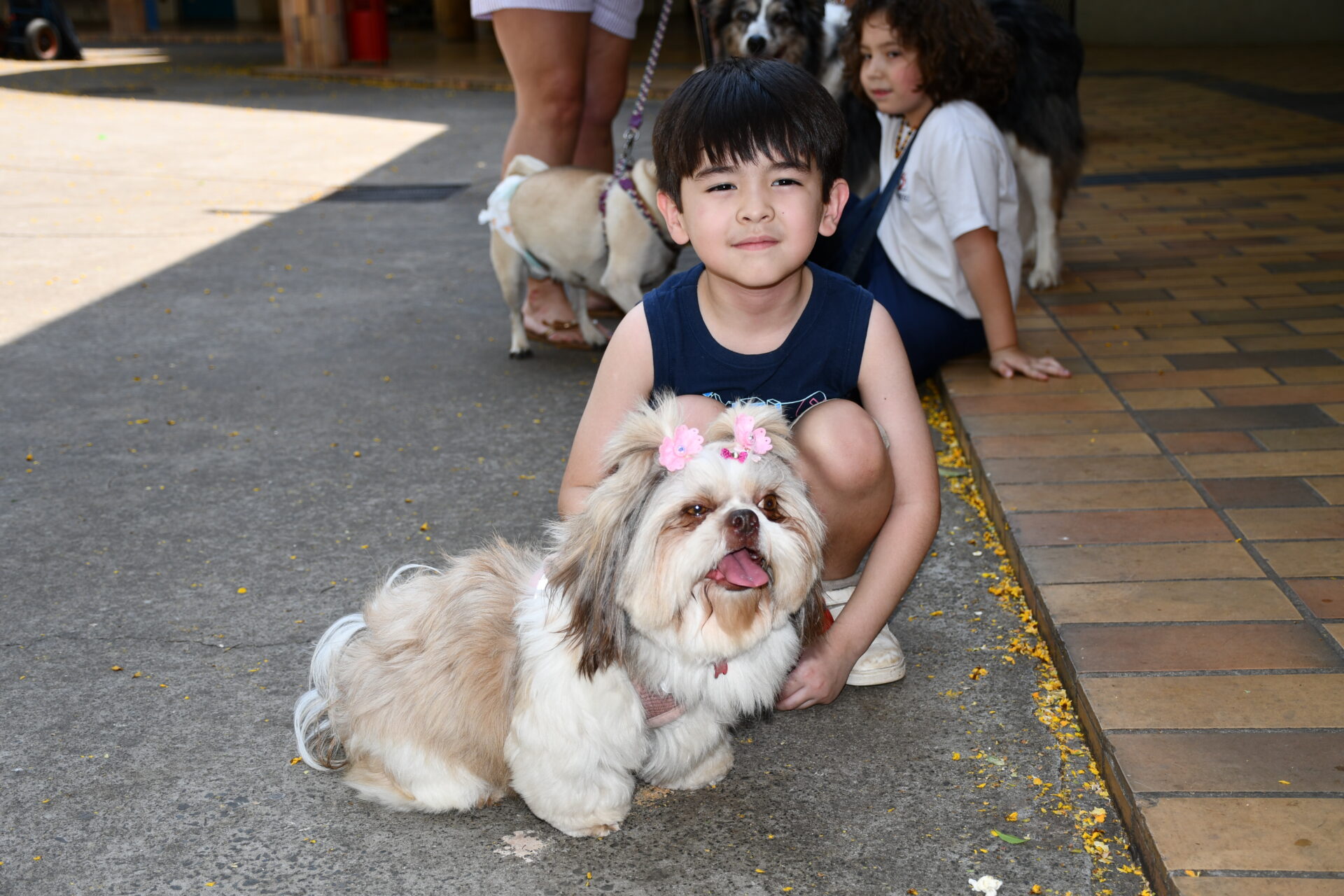 benção-animais-sao-francisco-de-assis (47)