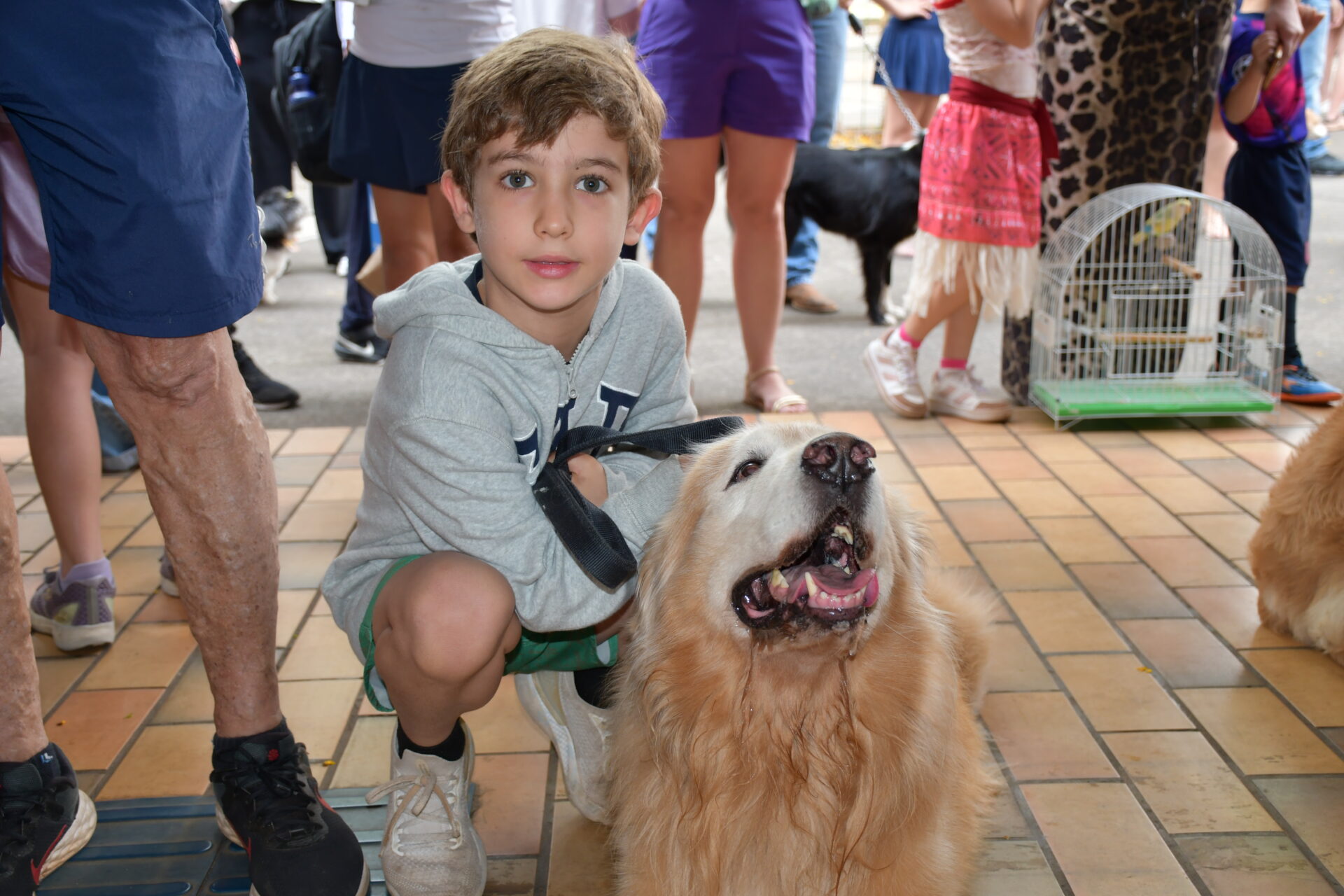benção-animais-sao-francisco-de-assis (6)