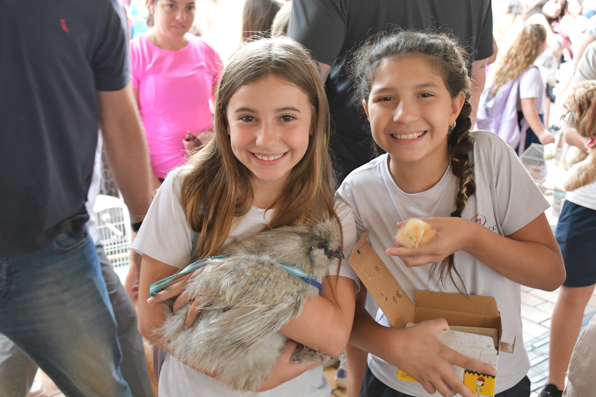 benção-animais-sao-francisco-de-assis (7)