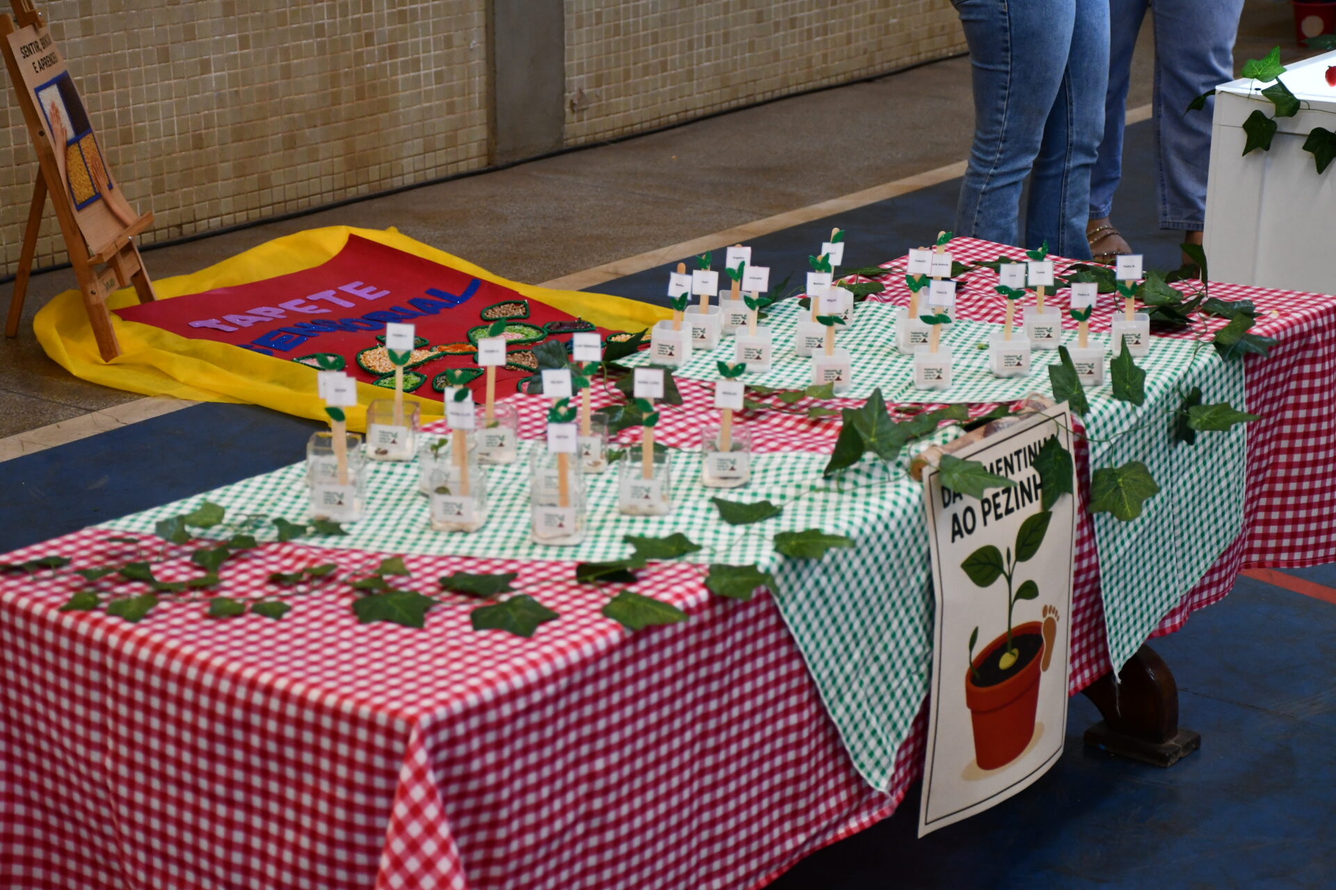 mostra-de-projetos (151)