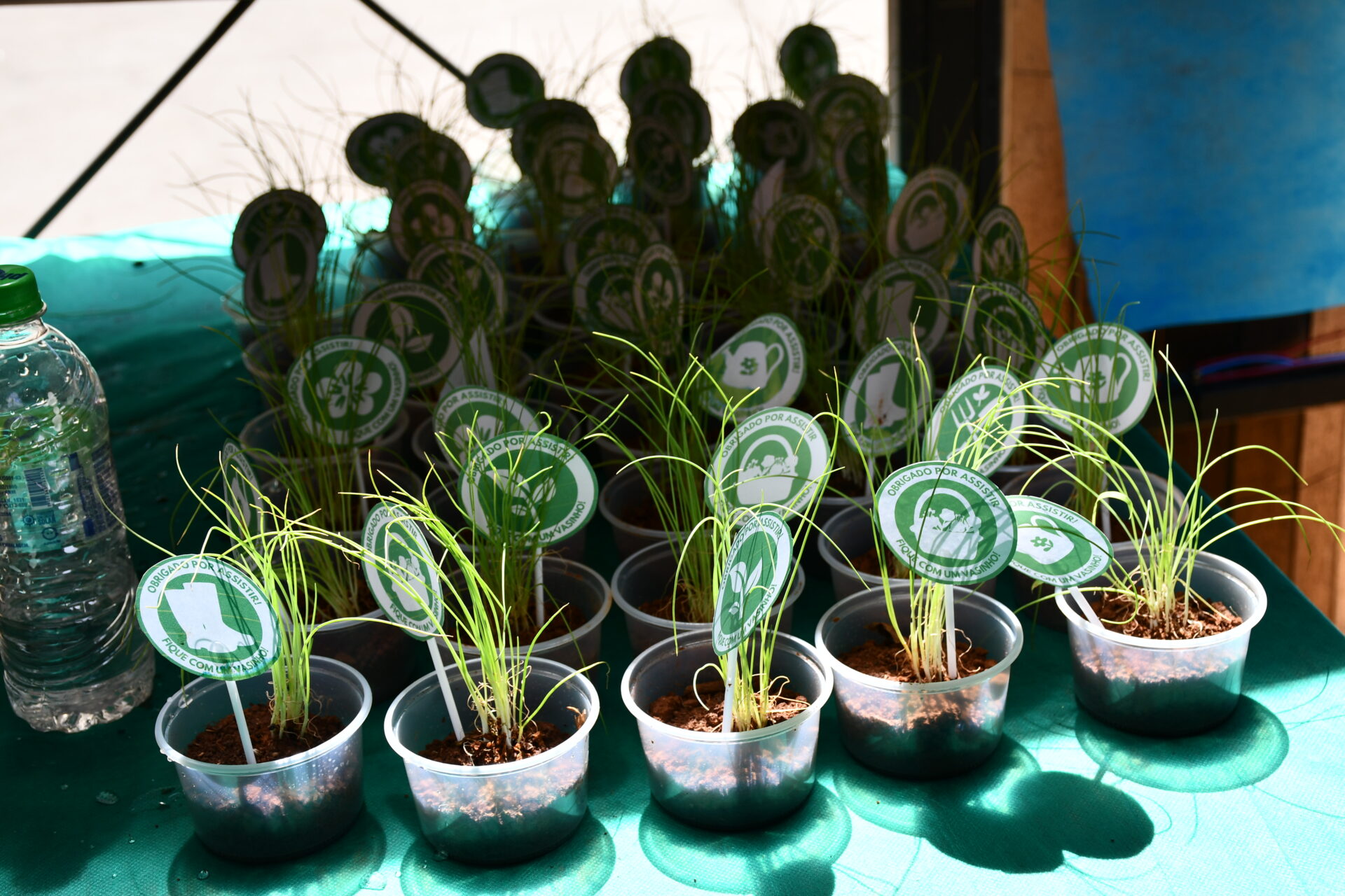 mostra-de-projetos (195)