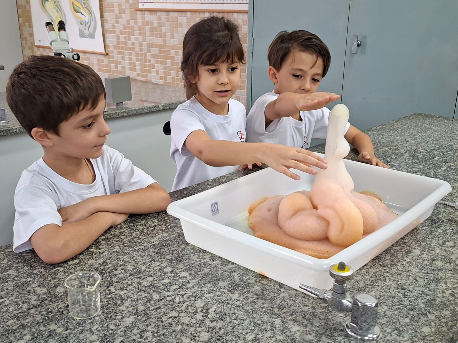 atividade-laboratorio (10)