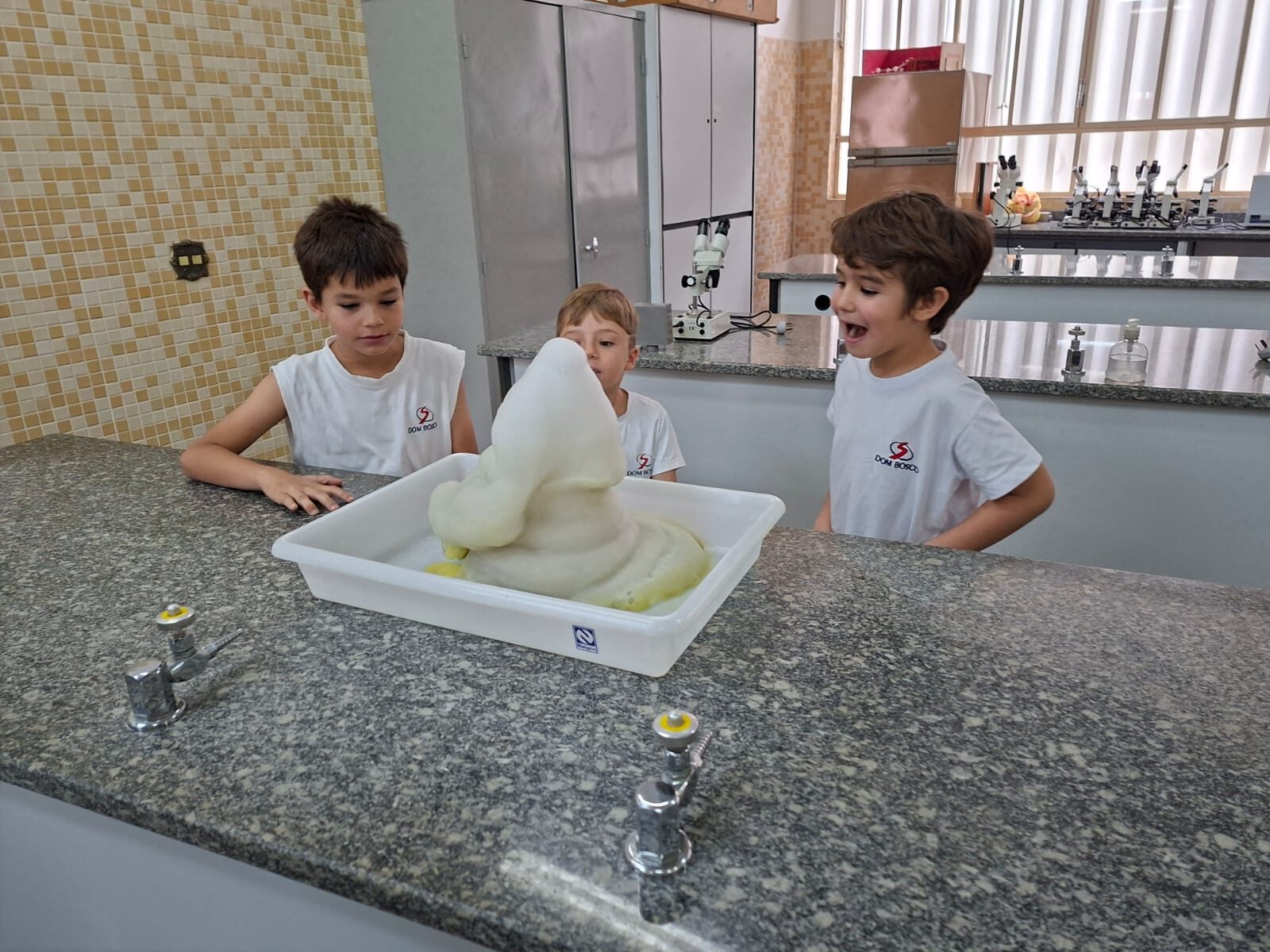 atividade-laboratorio (11)