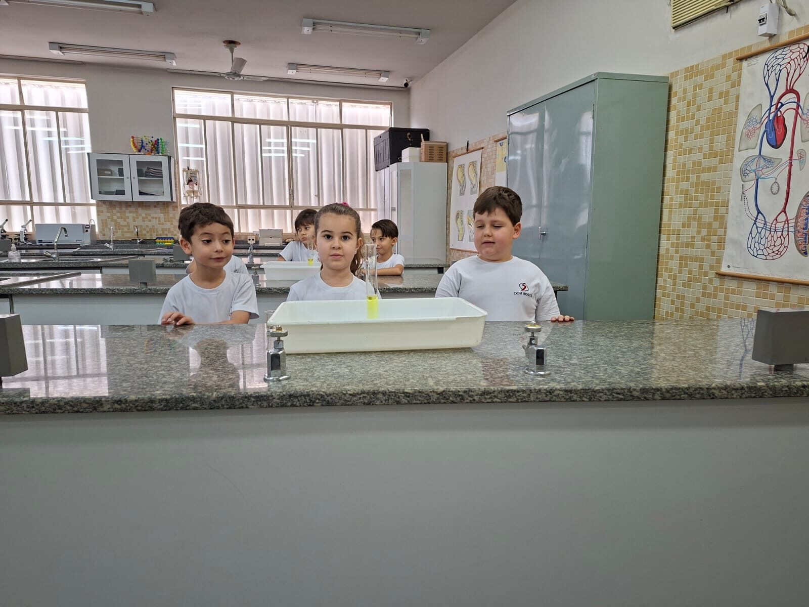 atividade-laboratorio (13)