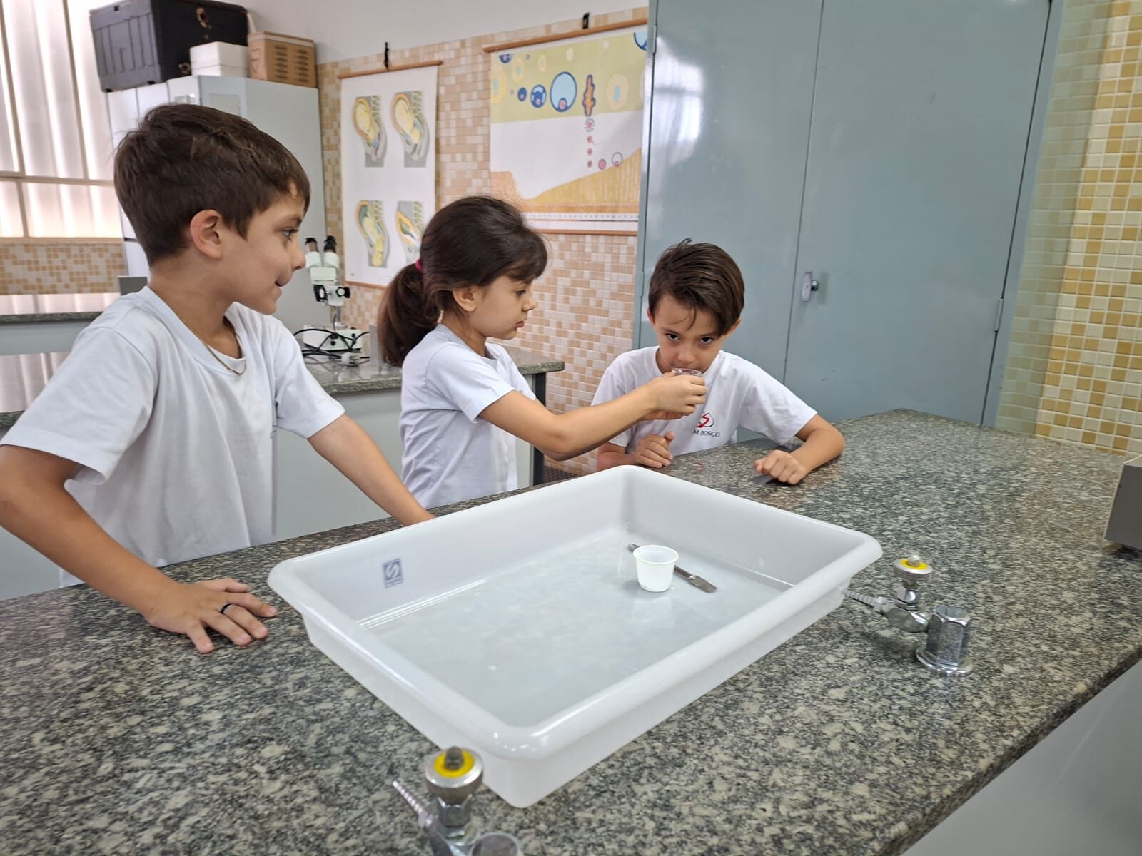 atividade-laboratorio (15)