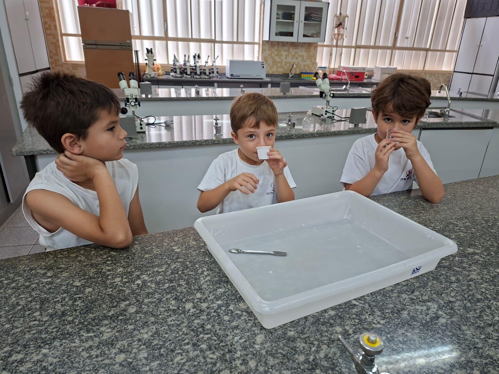 atividade-laboratorio (16)