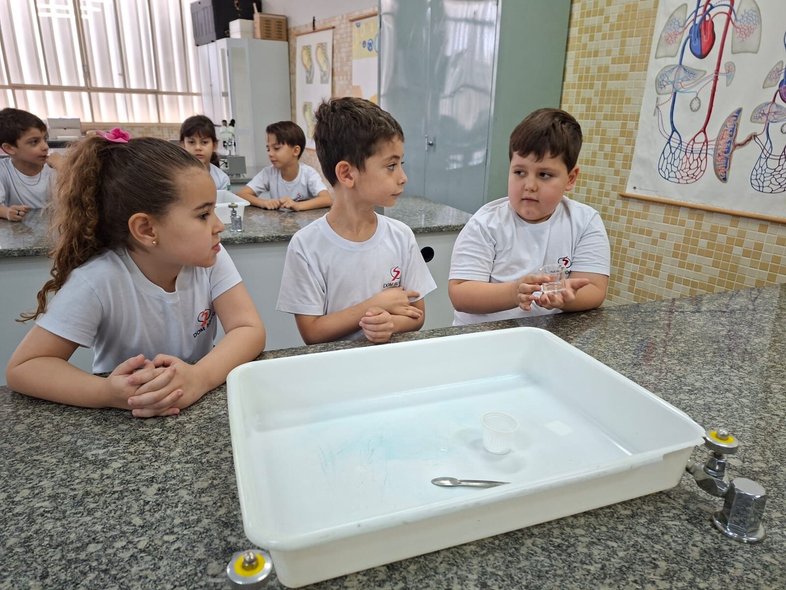 atividade-laboratorio (17)