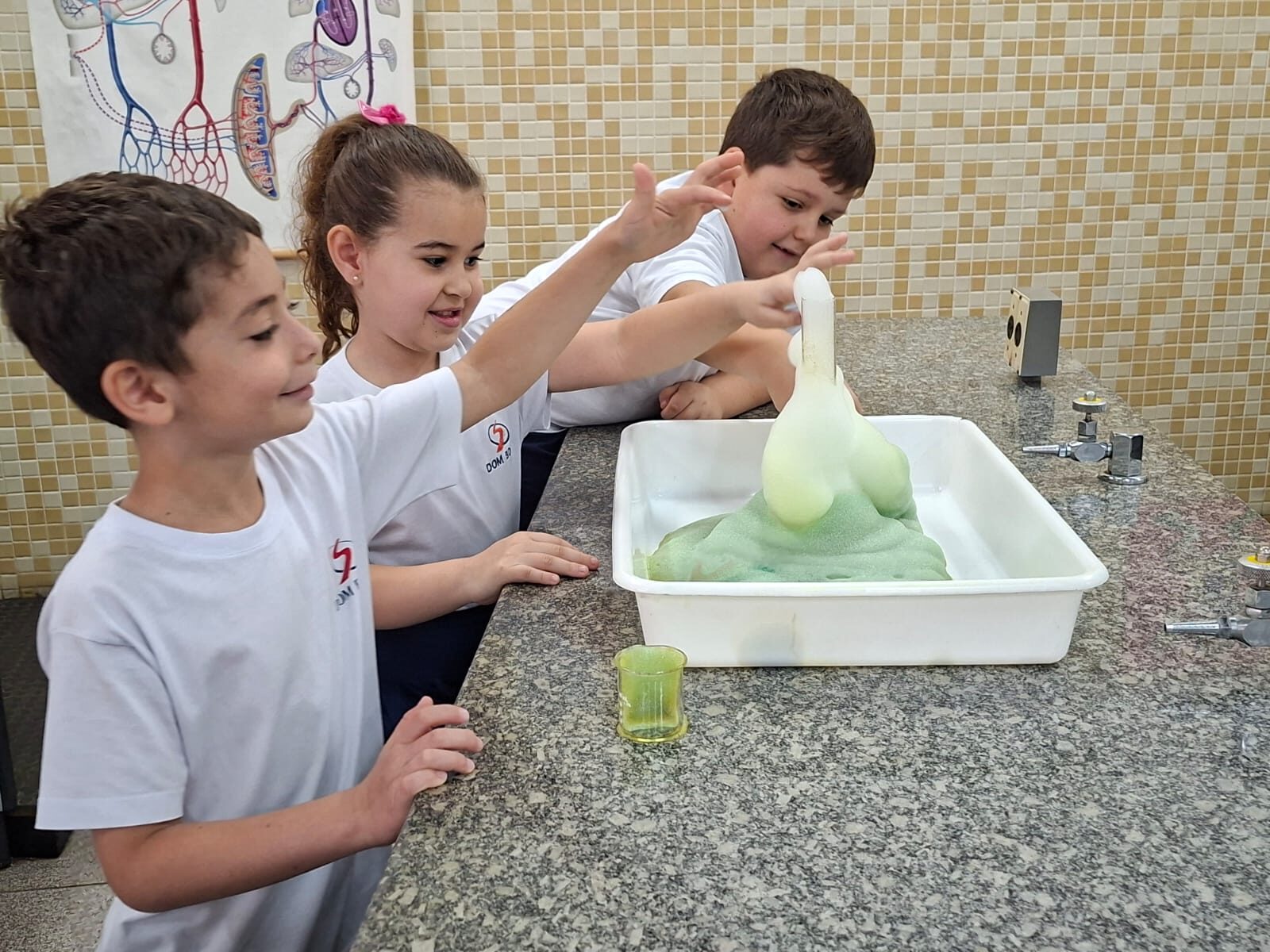 atividade-laboratorio (20)