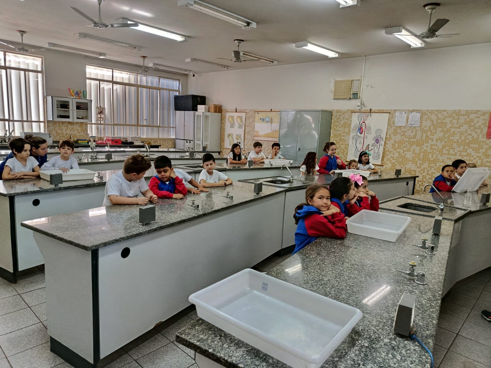 atividade-laboratório (21)