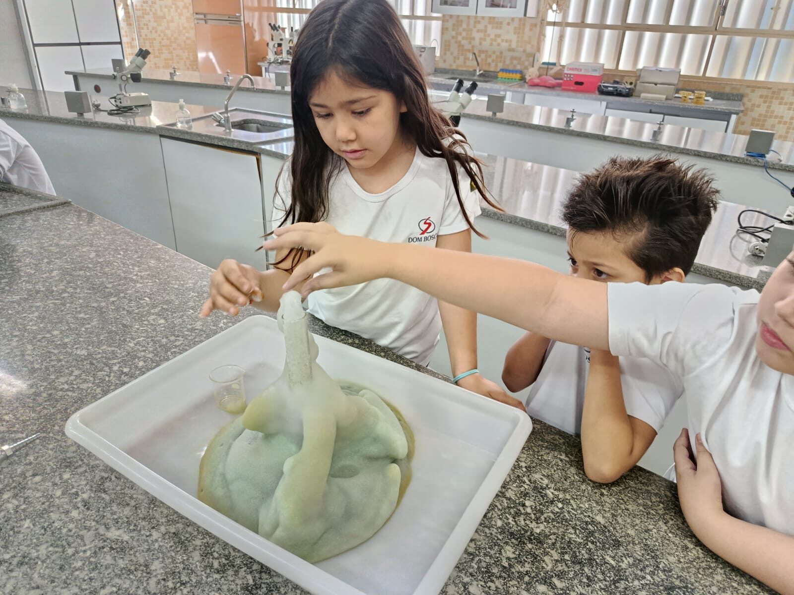 atividade-laboratório (24)