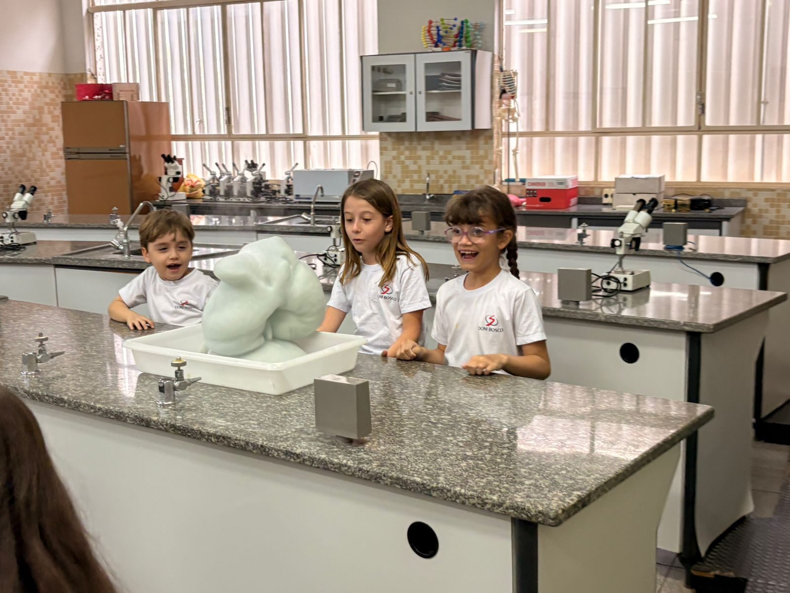 atividade-laboratorio (47)