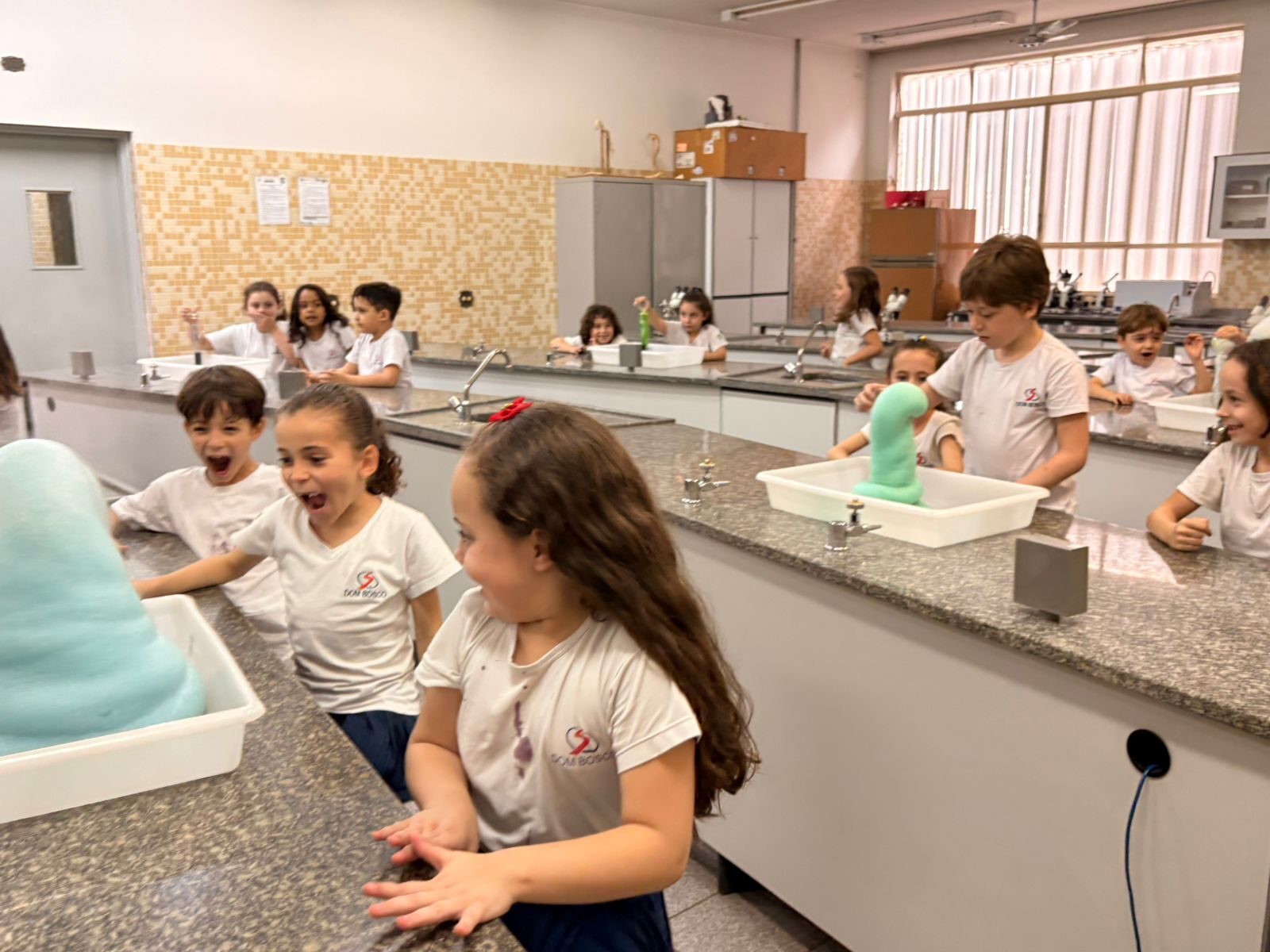 atividade-laboratorio (49)