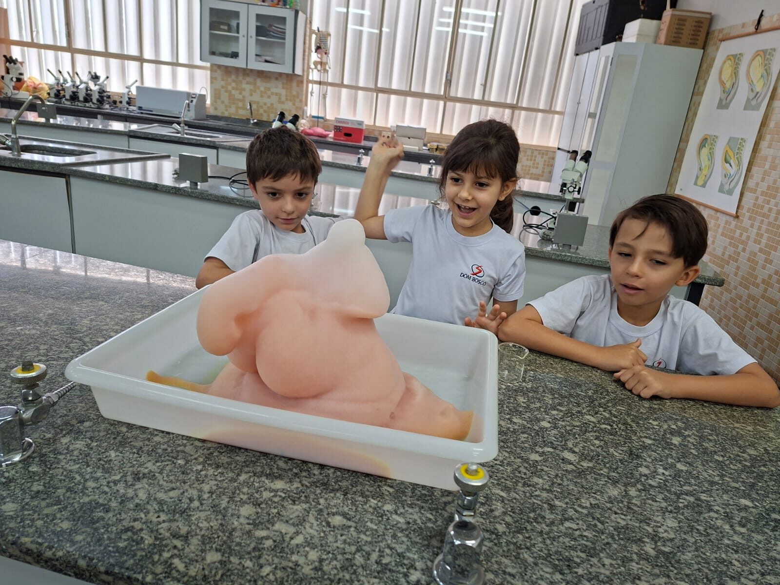 atividade-laboratorio (6)