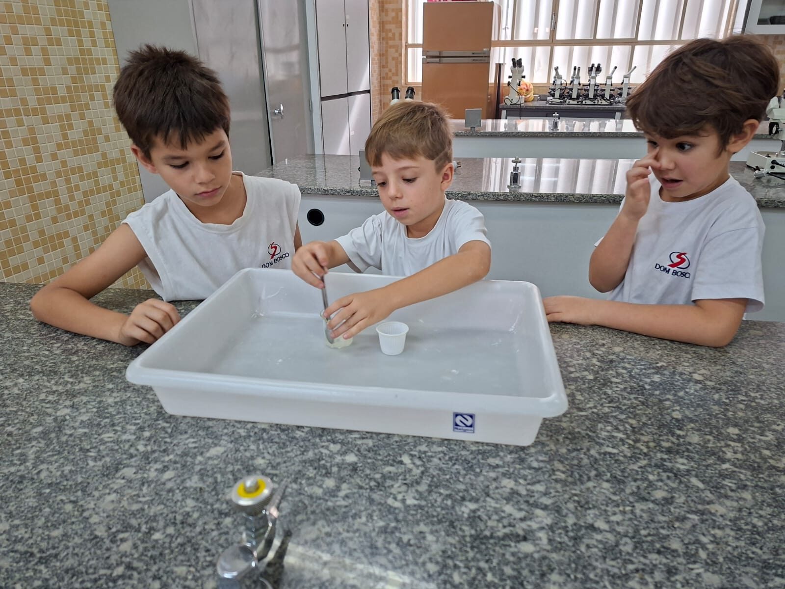 atividade-laboratorio (8)