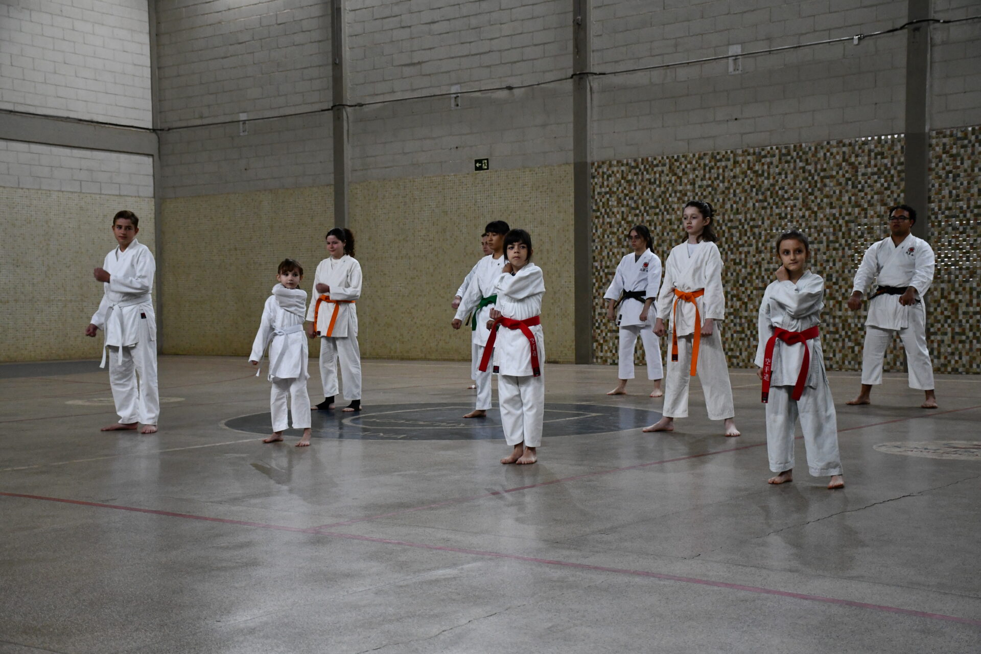 ginastica-ritmica-karate-extracurricular (11)