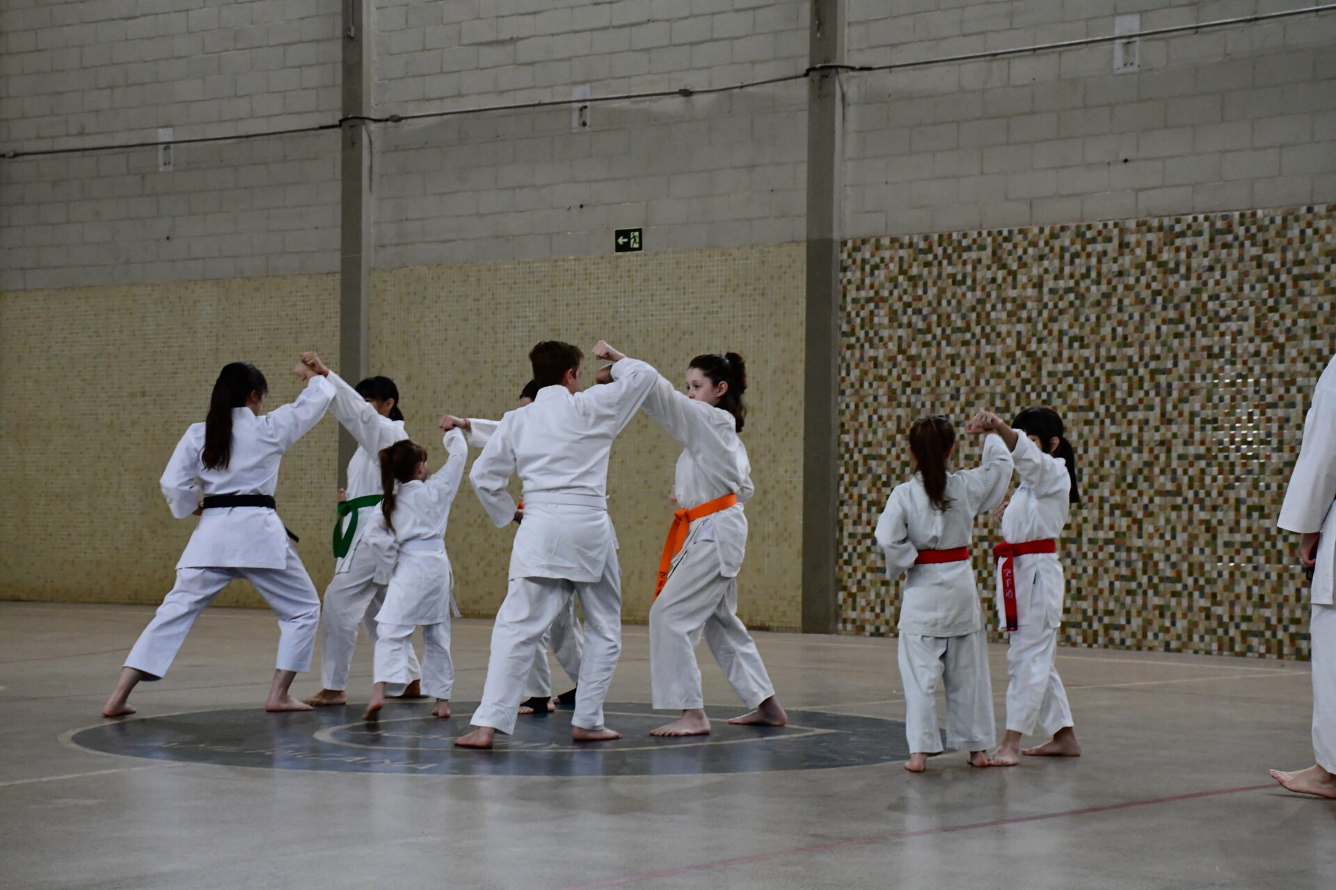 ginastica-ritmica-karate-extracurricular (12)