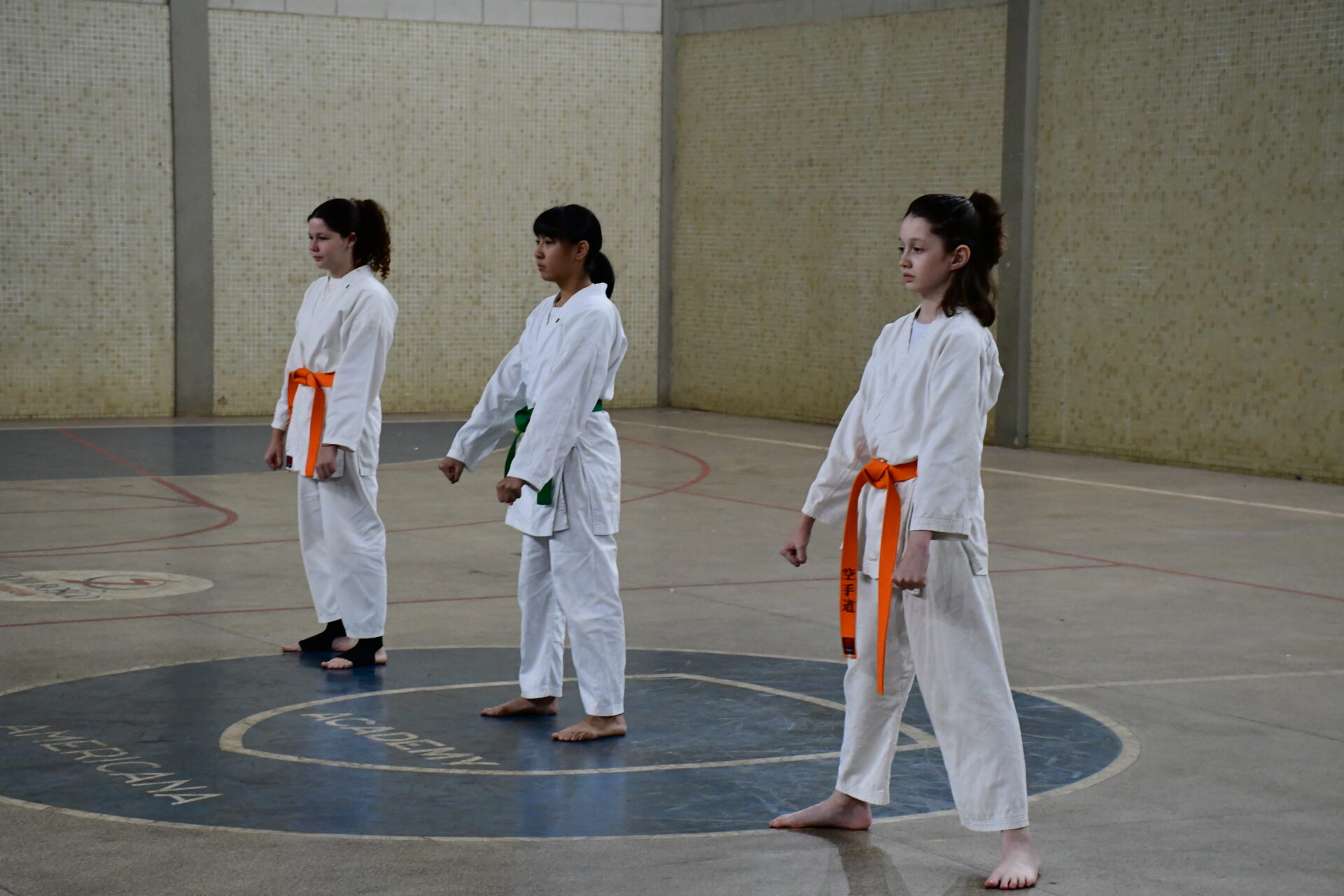 ginastica-ritmica-karate-extracurricular (14)