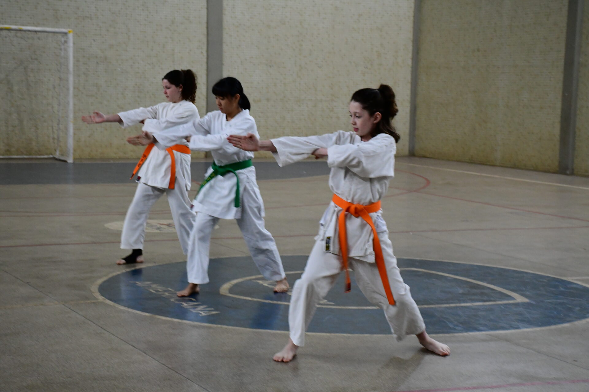 ginastica-ritmica-karate-extracurricular (15)