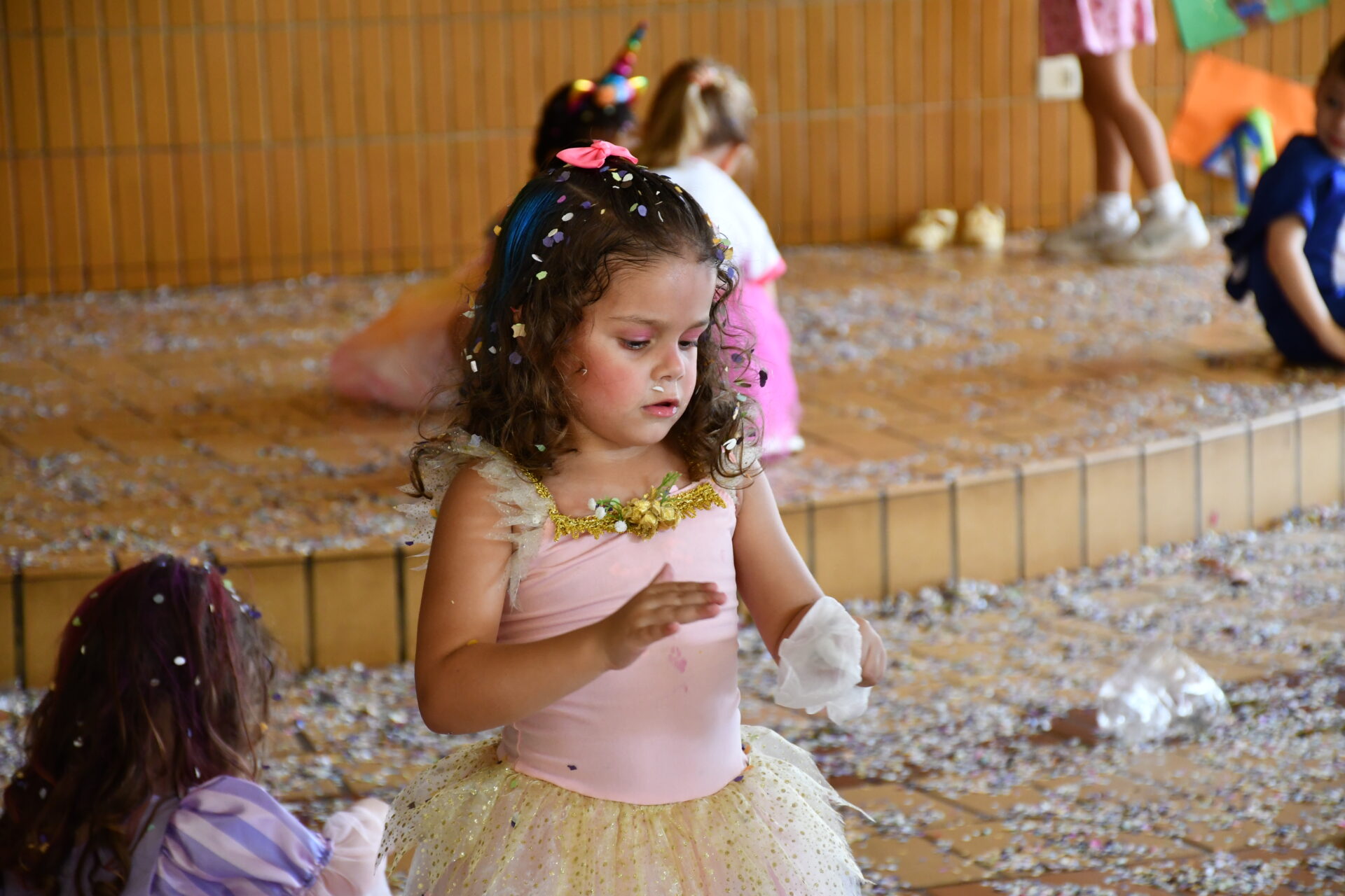 baile-de-carnaval-educacao-infantil (64)