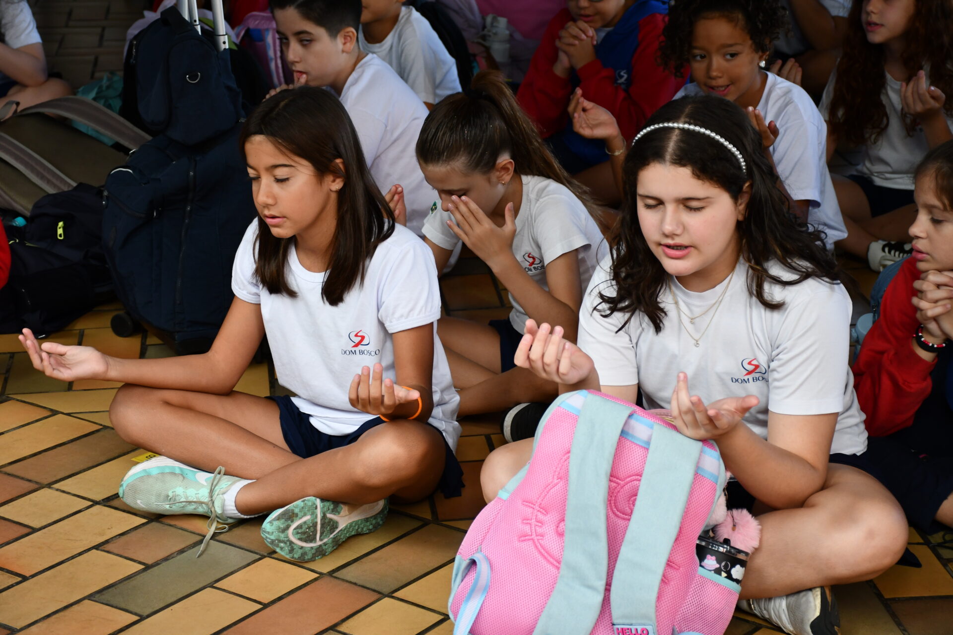 bencao-das-gargantas (25)