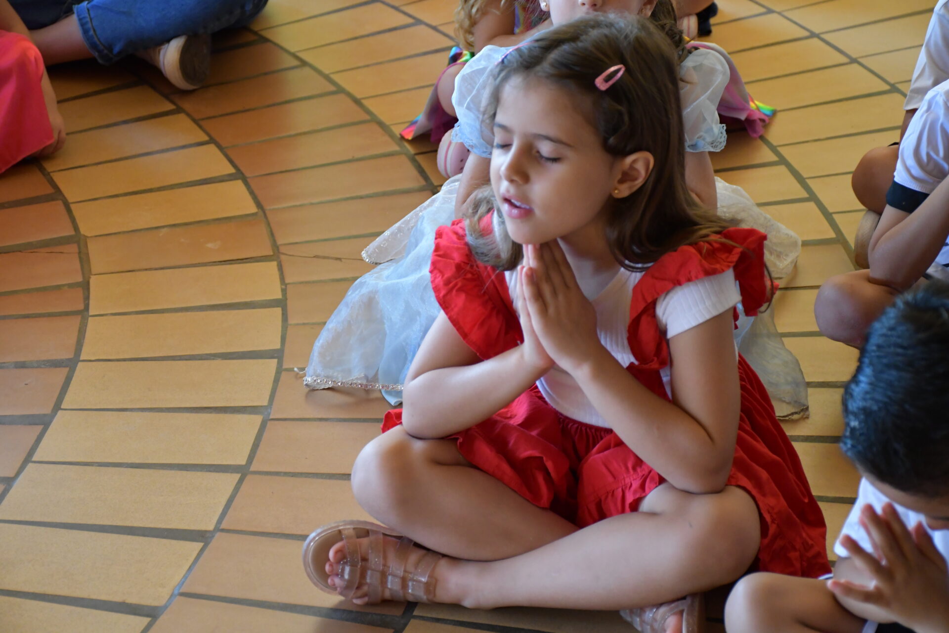 bencao-das-gargantas (33)