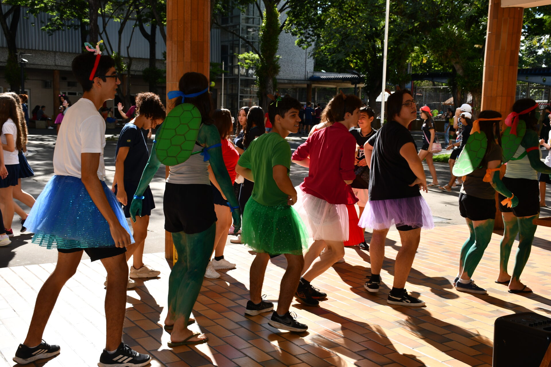 carnaval-fantasias (12)