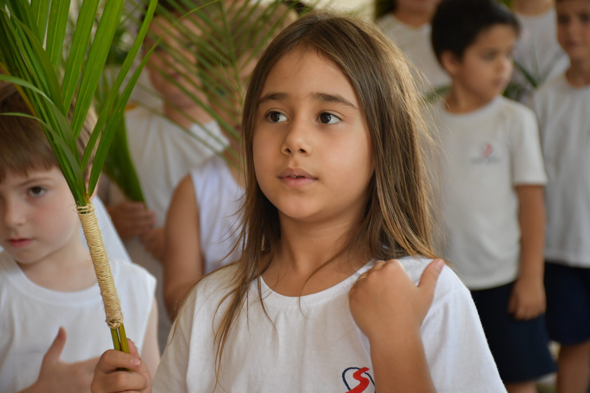 celebracao-de-ramos (12)