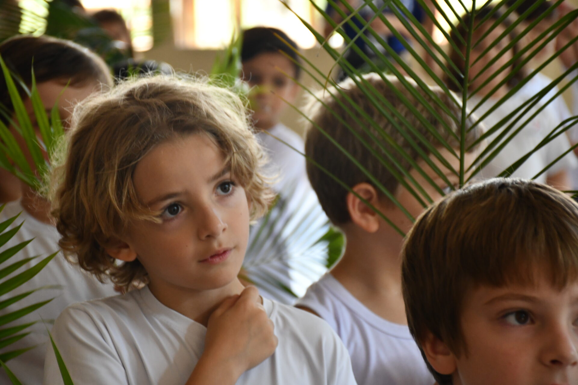 celebracao-de-ramos (13)