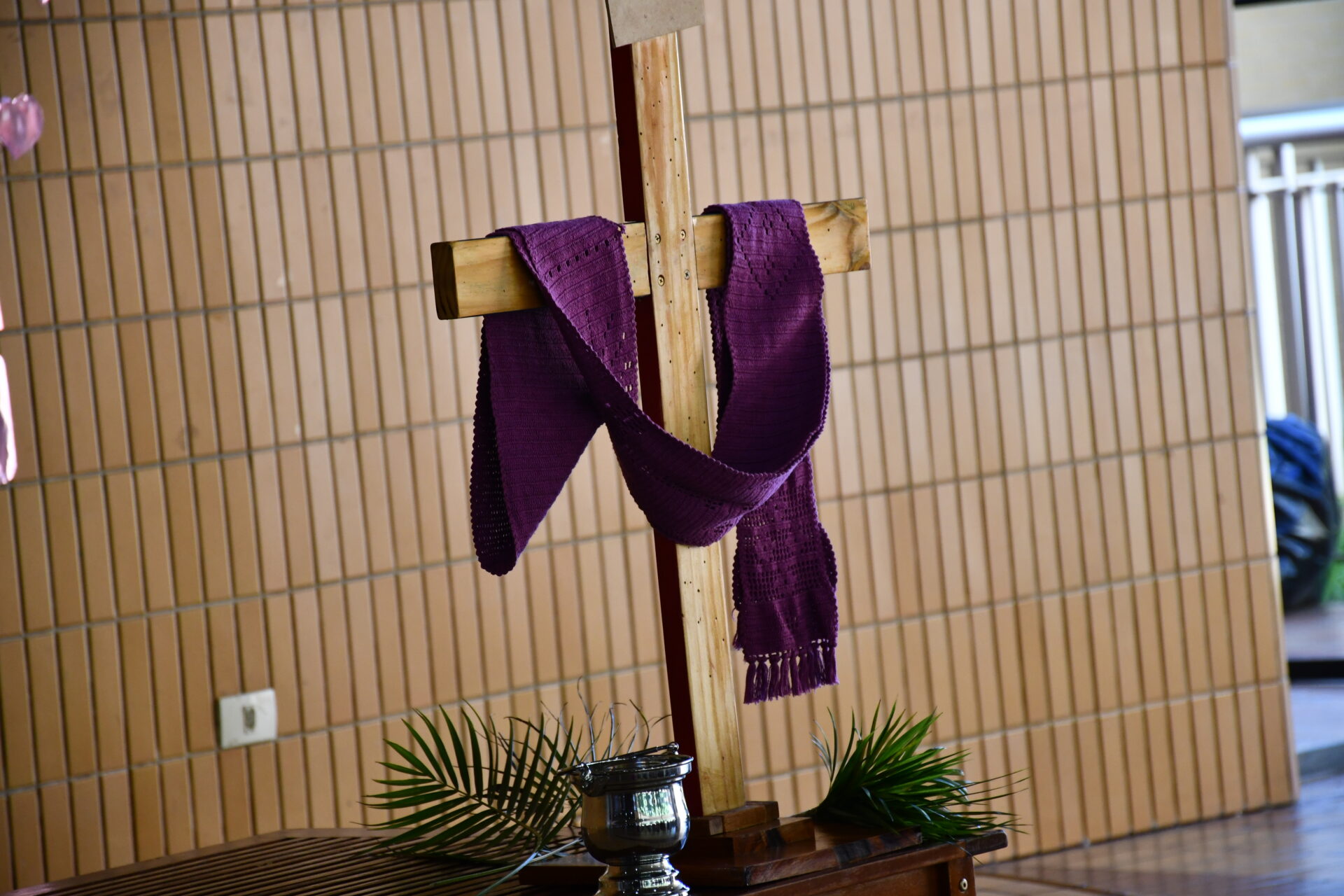 celebracao-de-ramos (15)