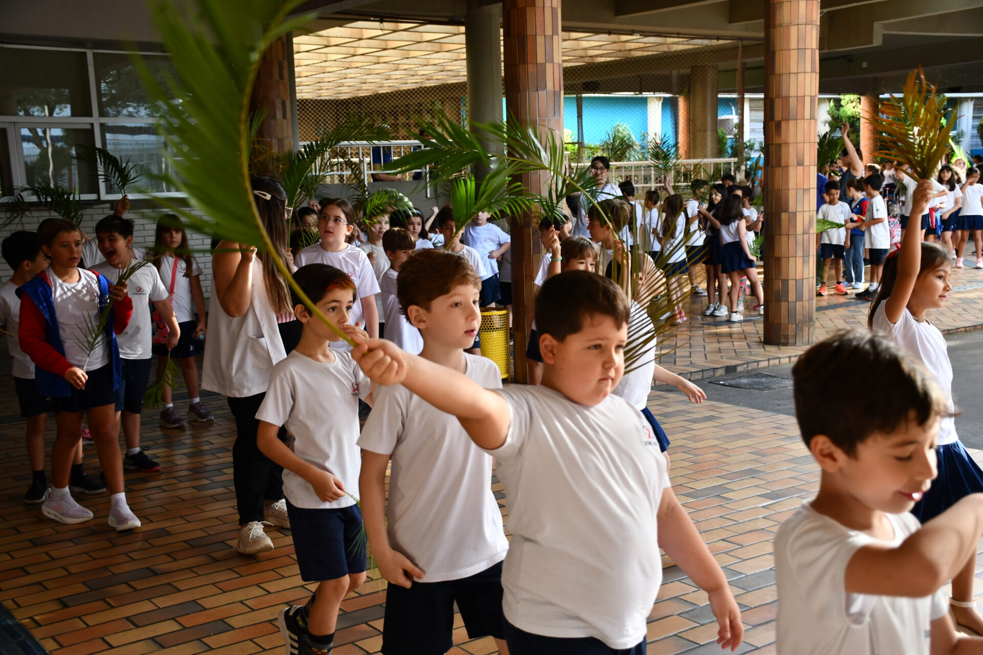 celebracao-de-ramos (43)