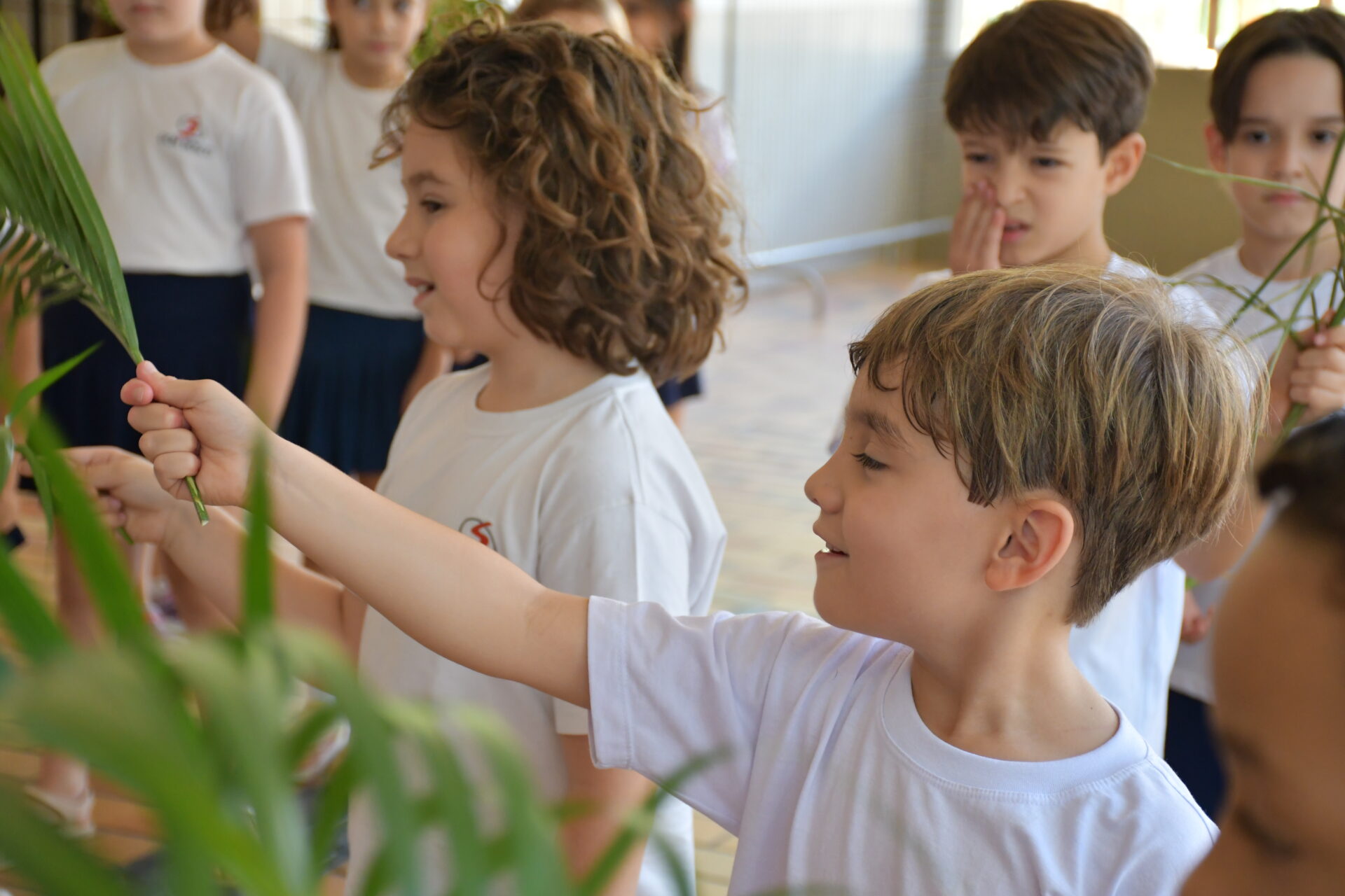 celebracao-de-ramos (9)