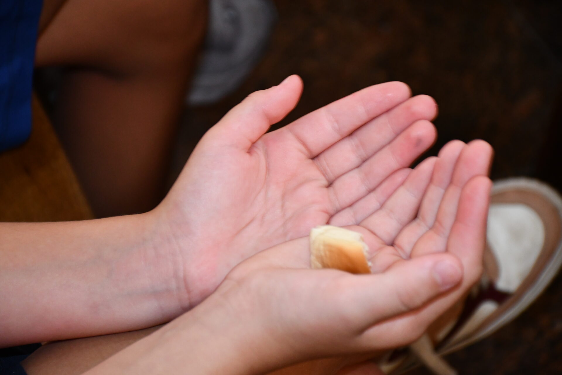 celebracao-lava-pes (83)