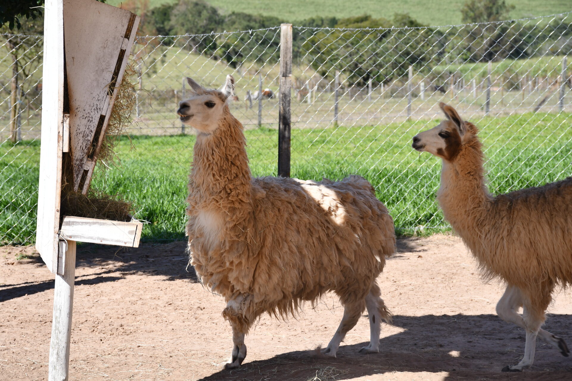 DSC_5022.jpg