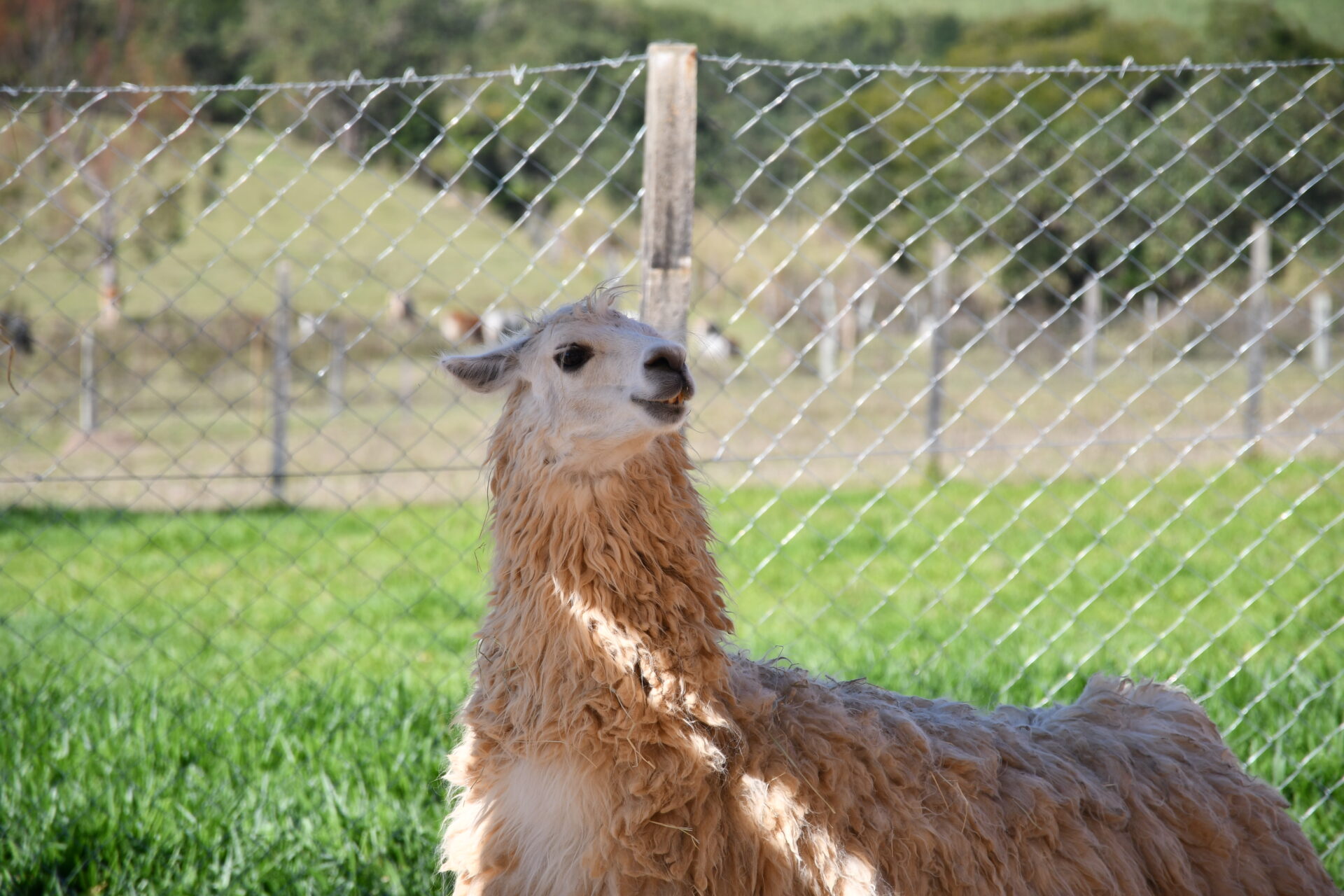 DSC_5030.jpg