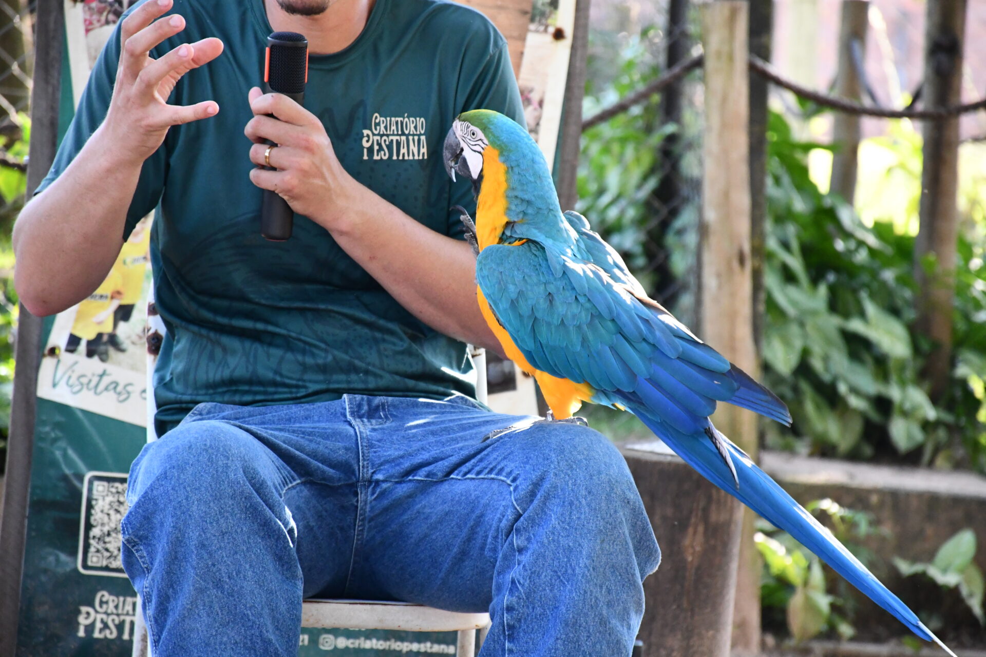 DSC_5254.jpg