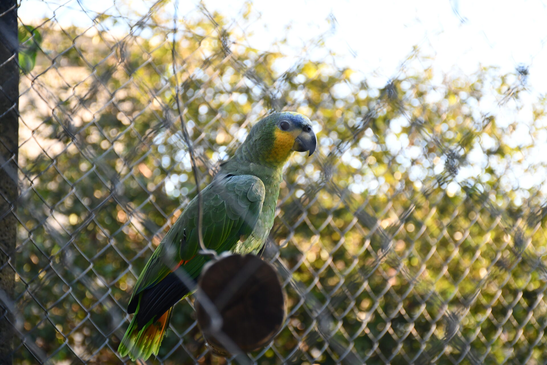DSC_5296.jpg
