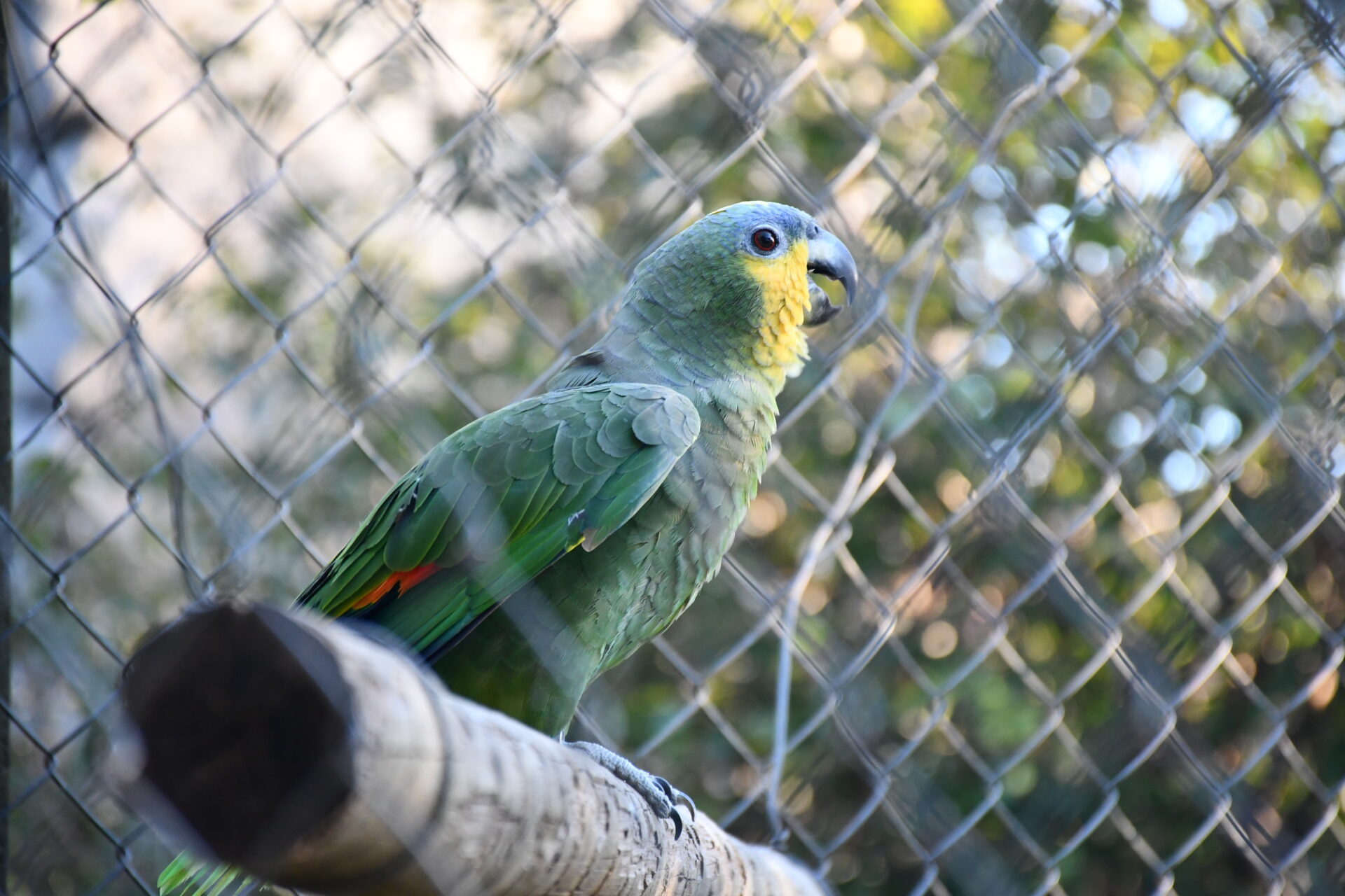 DSC_5305.jpg