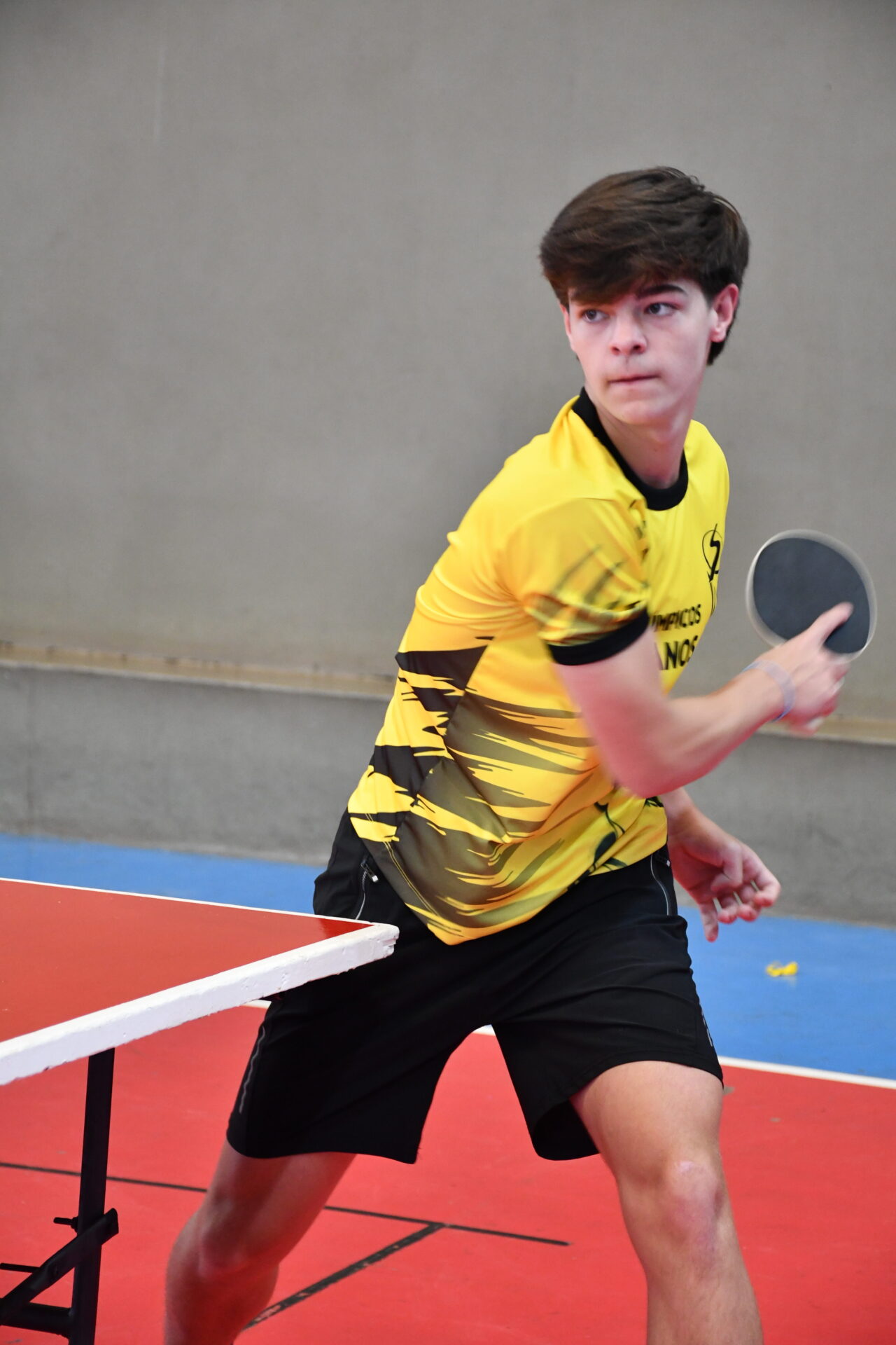 JOGOS.OLIMPICOS (21)