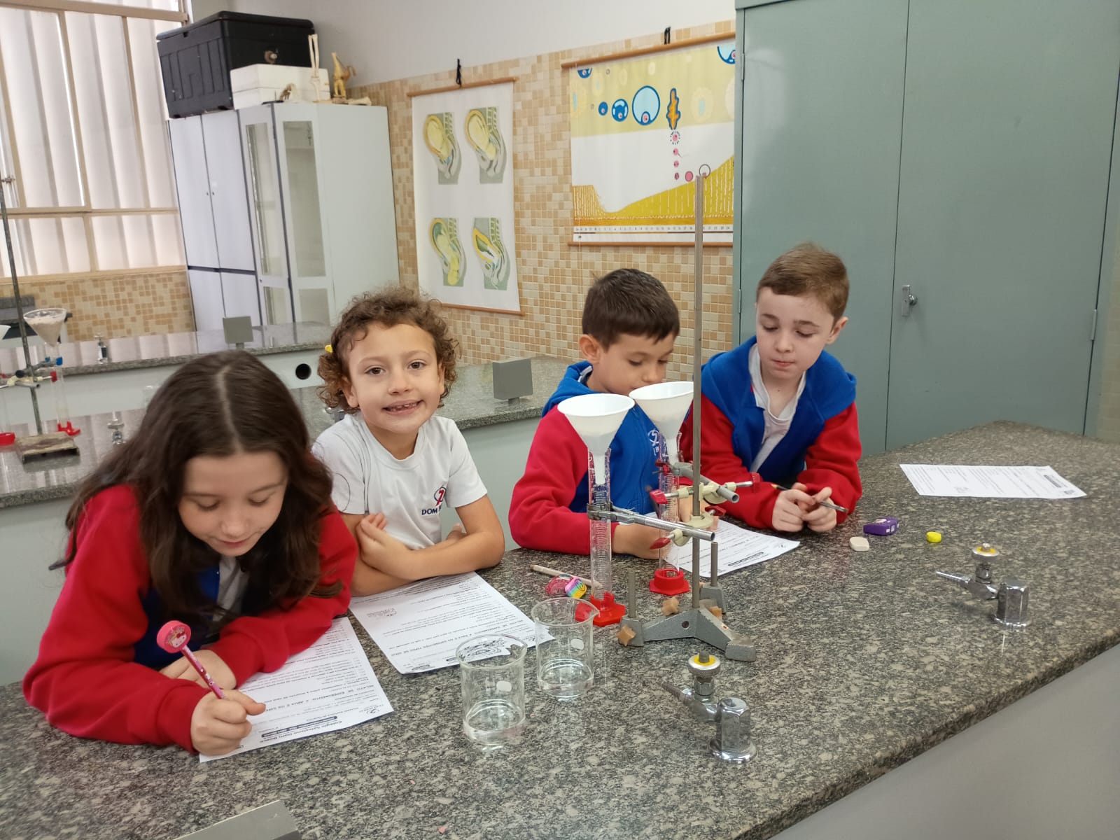 Laboratório 2º ano (8)