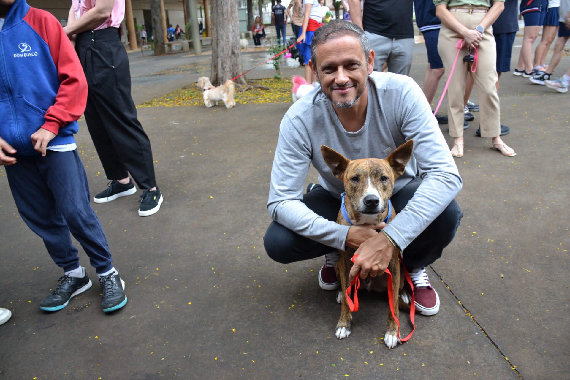BENÇÃO.DOS.ANIMAIS (11)