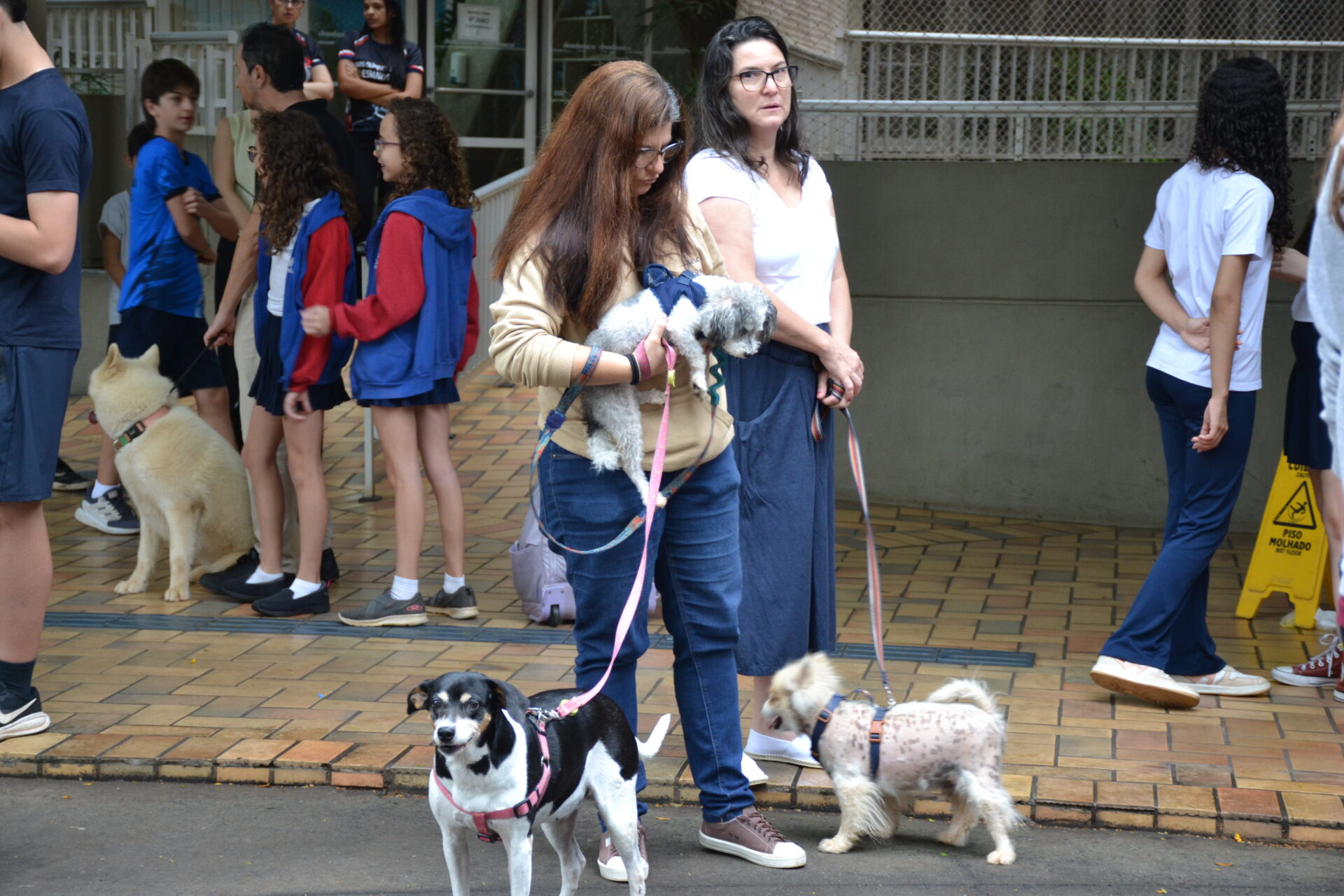 BENÇÃO.DOS.ANIMAIS (16)
